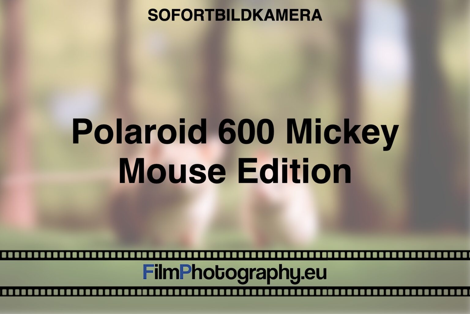 Polaroid 600 Mickey Mouse Edition Besonderheiten Und Filme