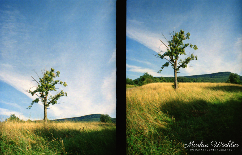 Half-Frame-Foto mit dem Color Negative 400 und der LC-Wide