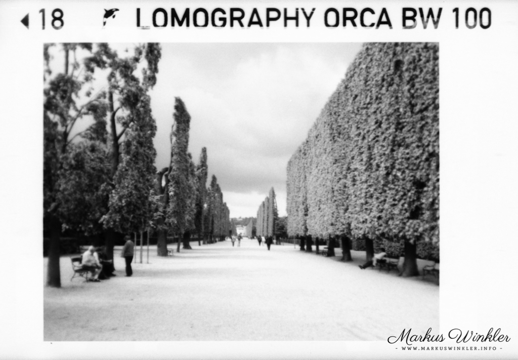 Beispielbild mit dem Orca B&W 100 von Lomography und der Pocketfilmkamera 