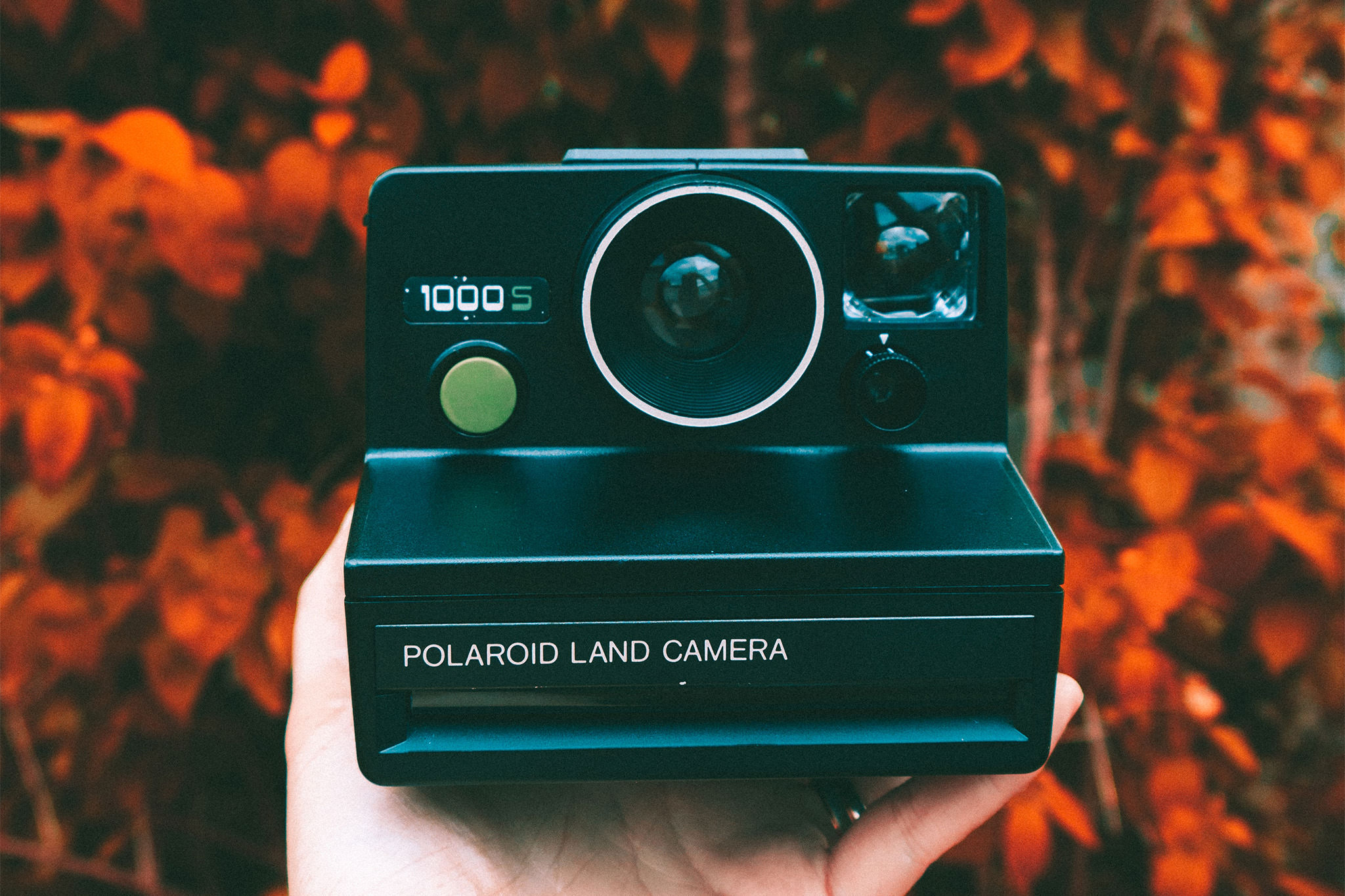 polaroid-1000s-sofortbildkamera-filme