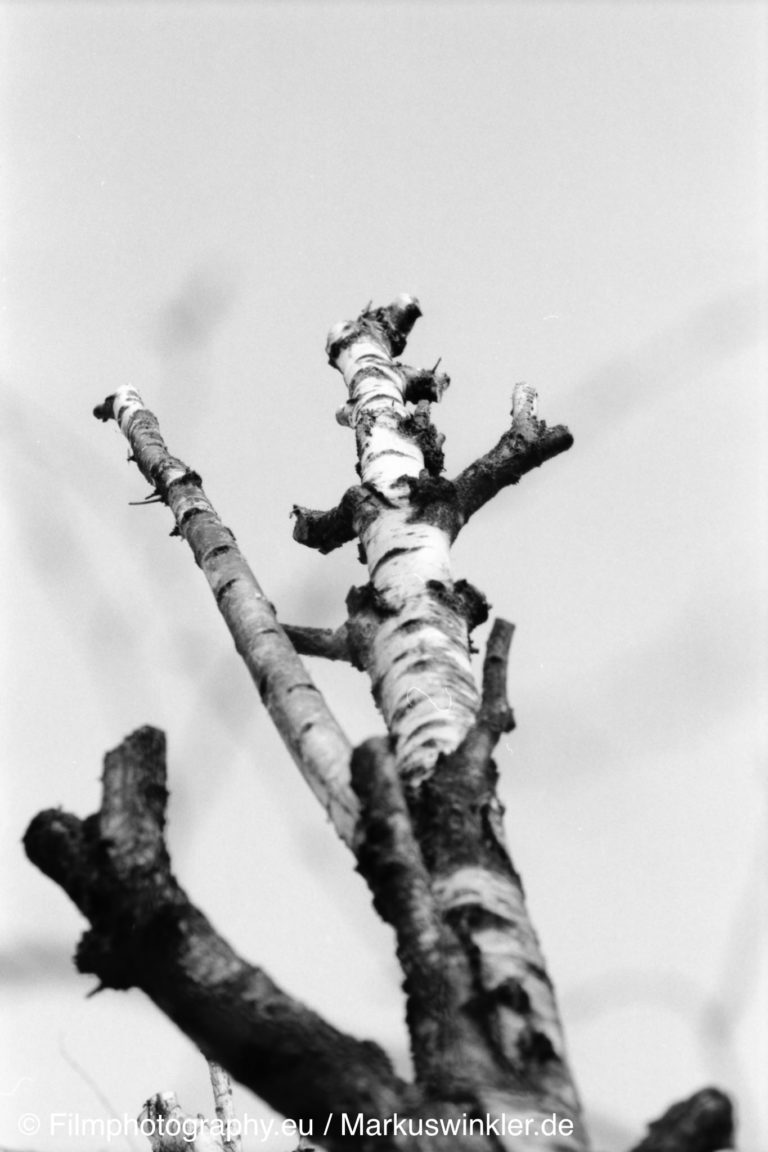 Fujifilm Neopan 100 Acros Guide for the blackandwhite film