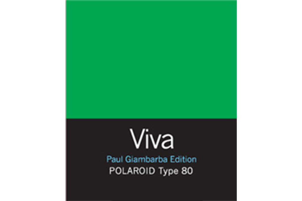polaroid-viva-color-giambarba-typ-80-7744-asf