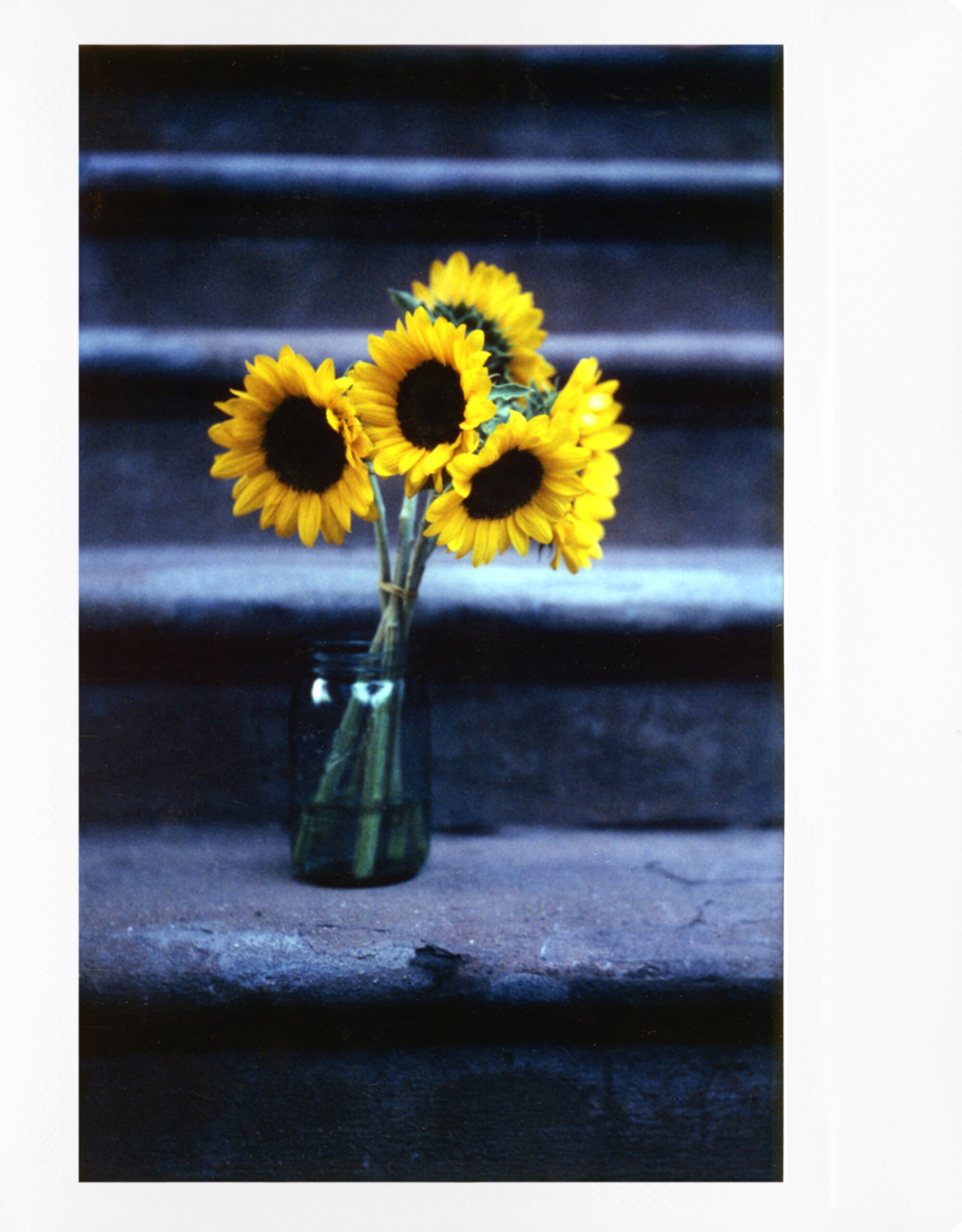 lomograflok-instant-back-5