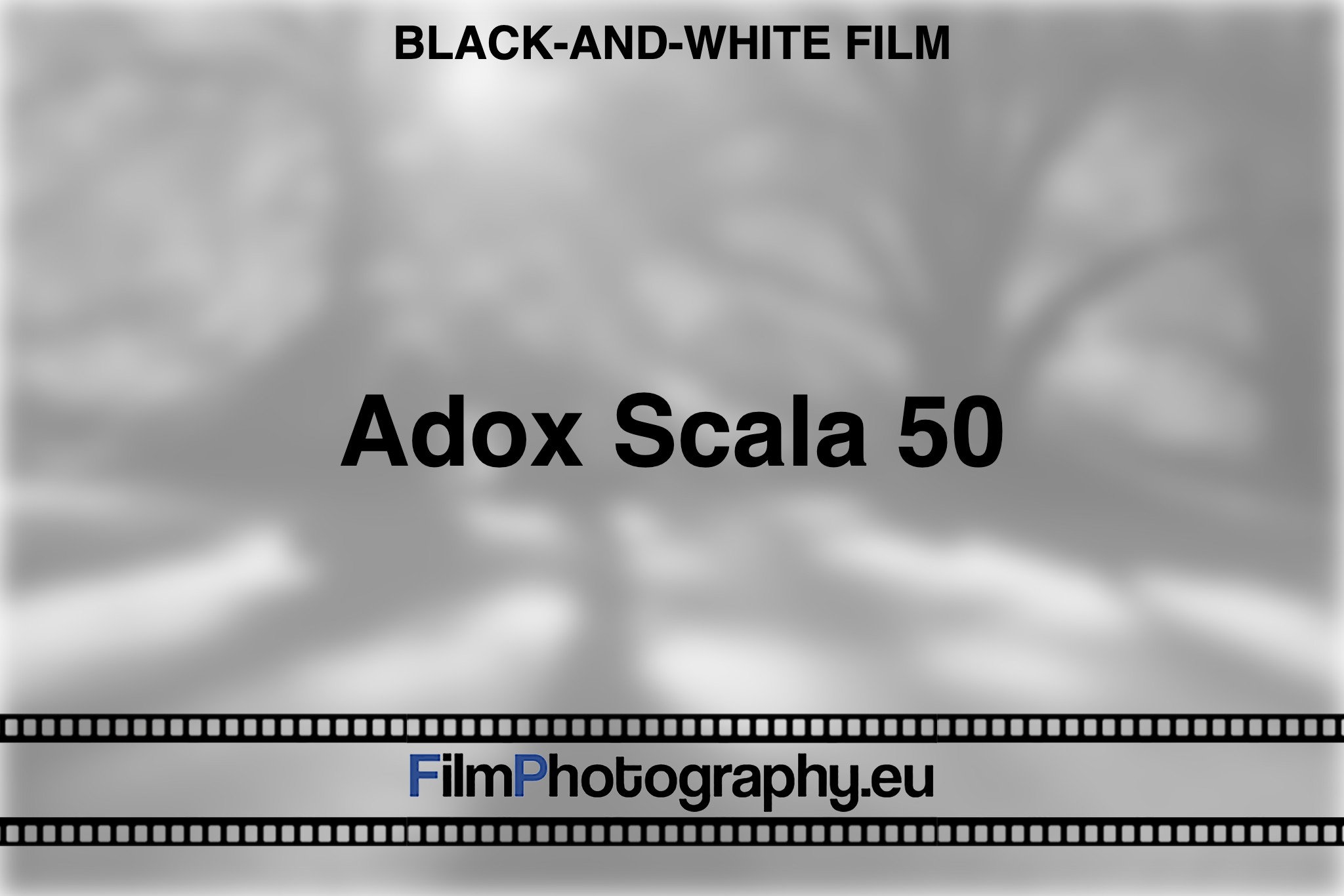 adox-scala-50-black-and-white-film-bnv