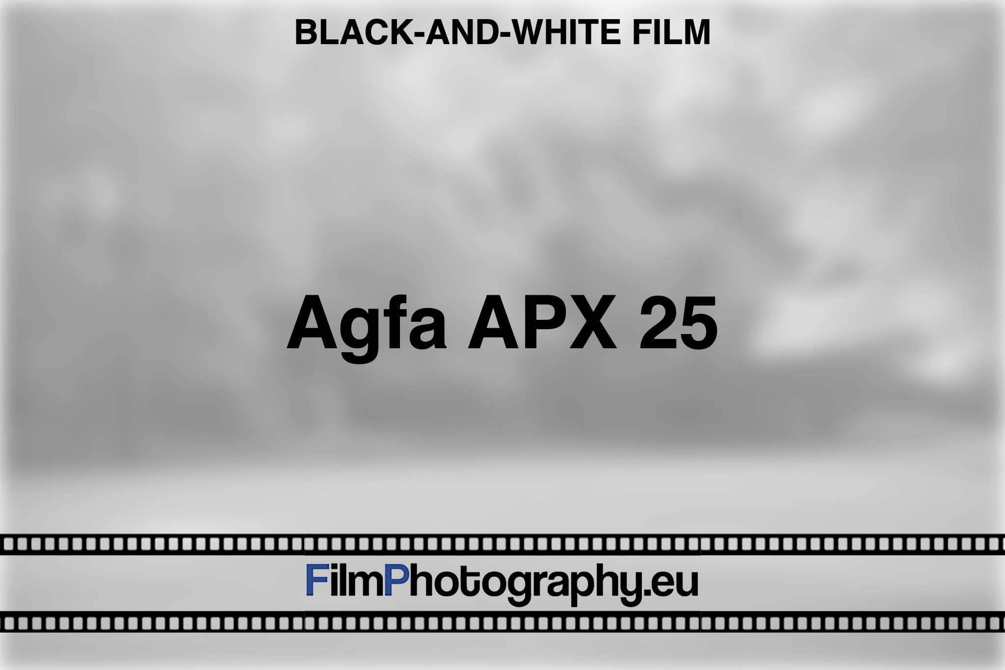 agfa-apx-25-black-and-white-film-bnv