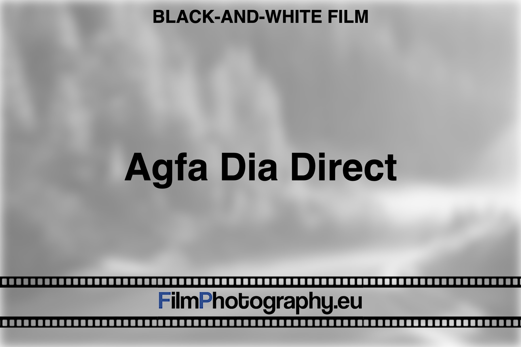 agfa-dia-direct-black-and-white-film-bnv