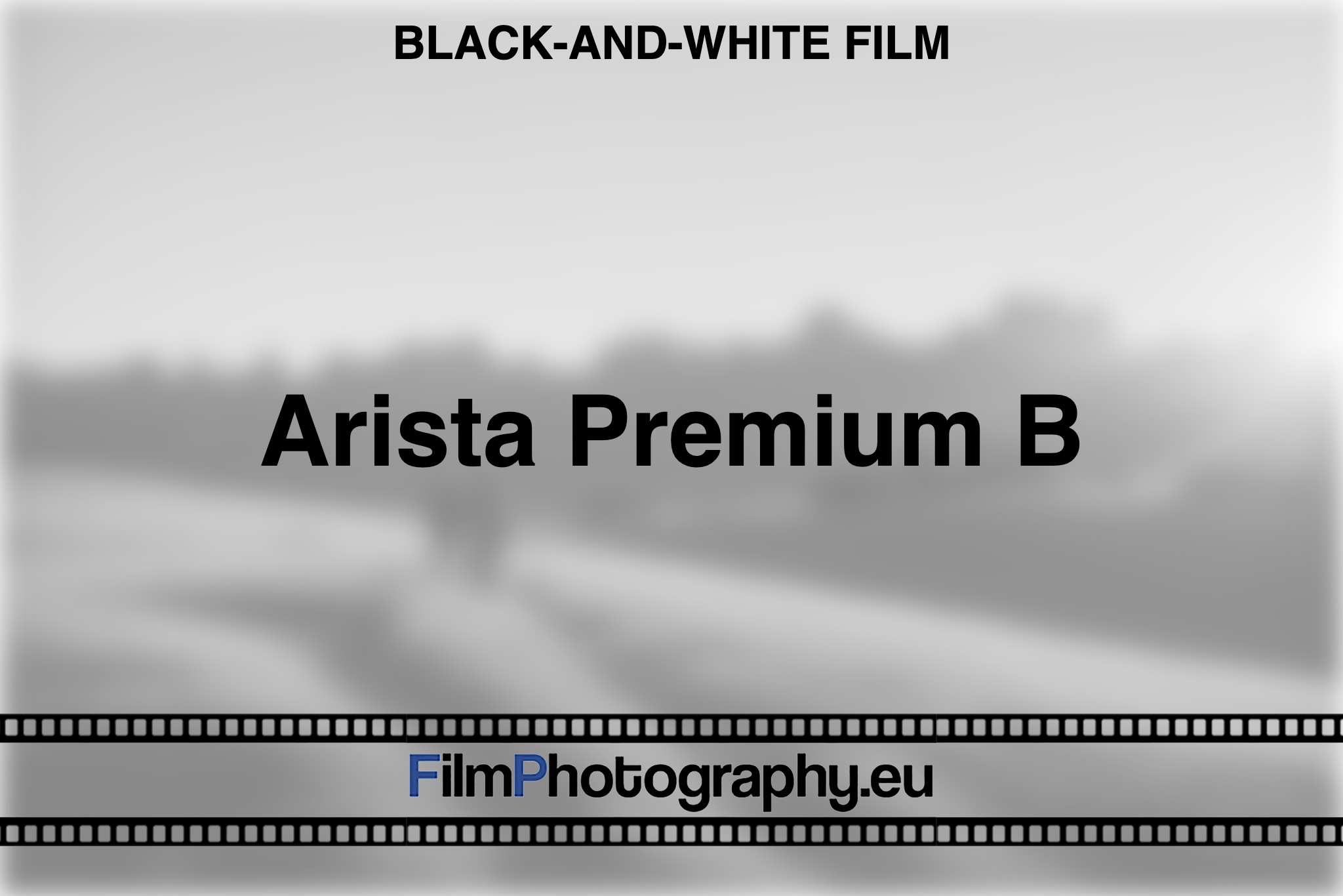 arista-premium-b-w-400-black-and-white-film-bnv