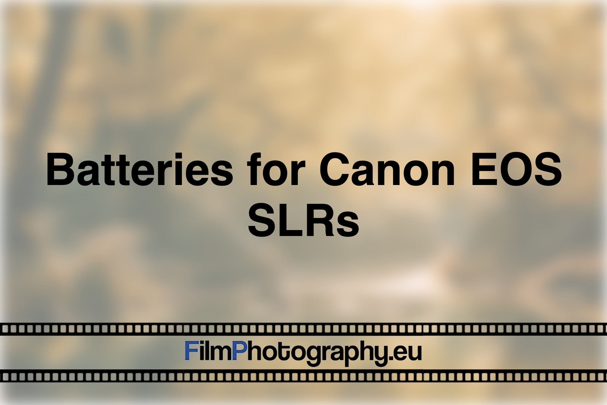 batteries-for-canon-eos-slrs-photo-bnv