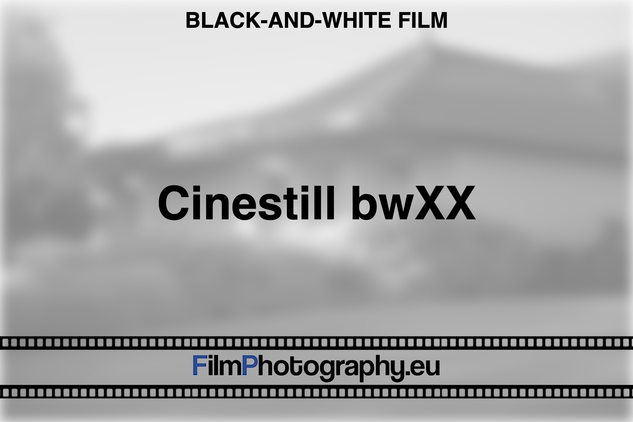 cinestill-bwxx-black-and-white-film-bnv