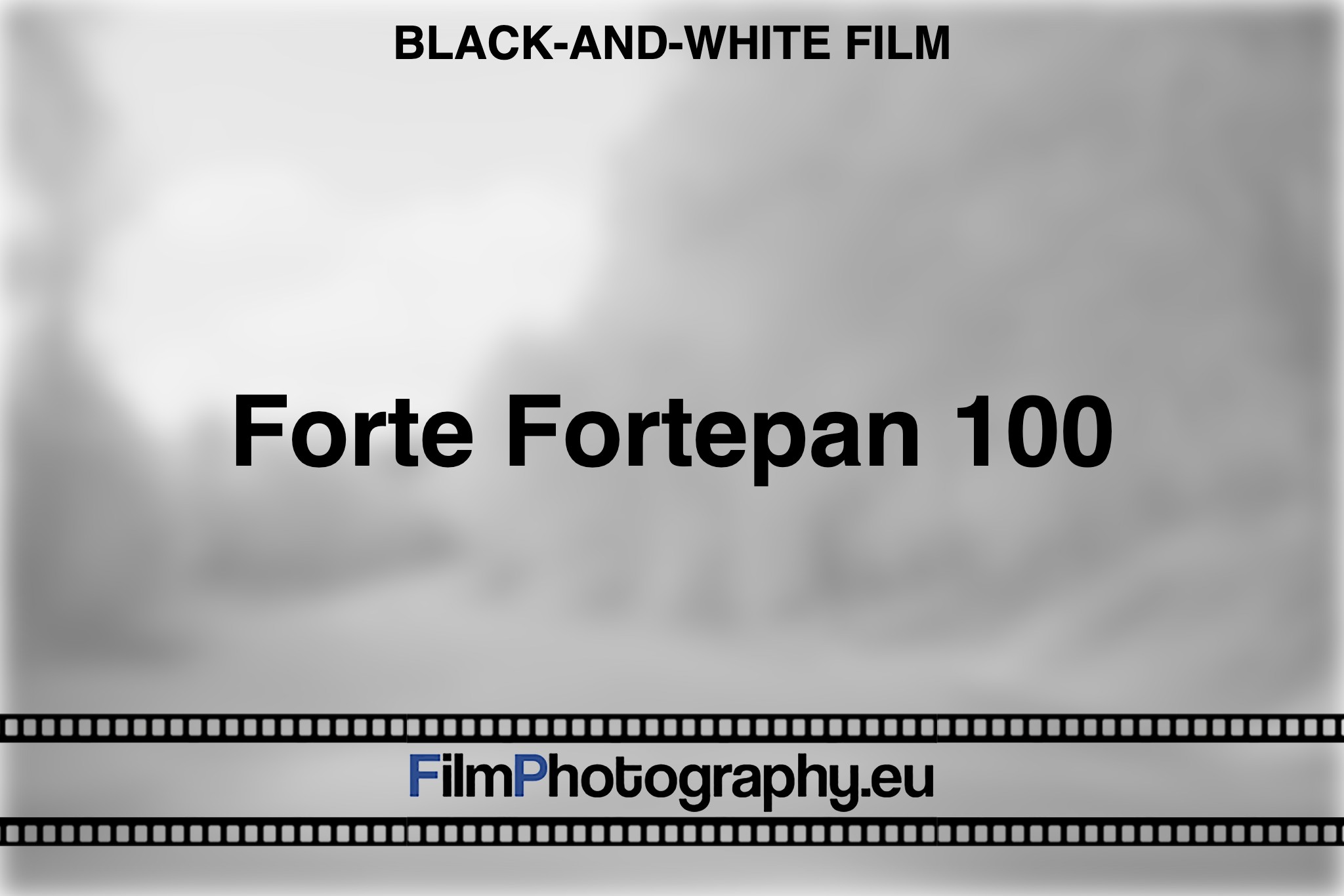 forte-fortepan-100-black-and-white-film-bnv