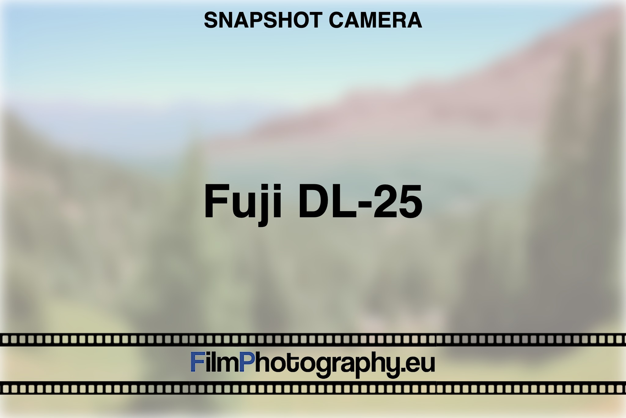 fuji-dl-25-snapshot-camera-bnv