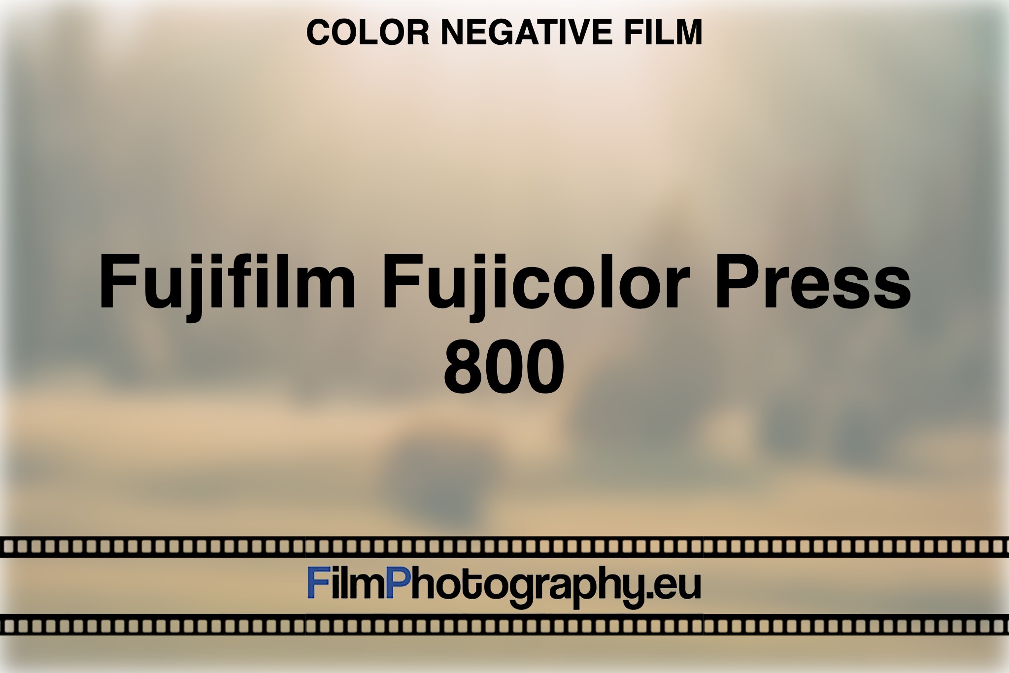 fujifilm-fujicolor-press-800-color-negative-film-bnv