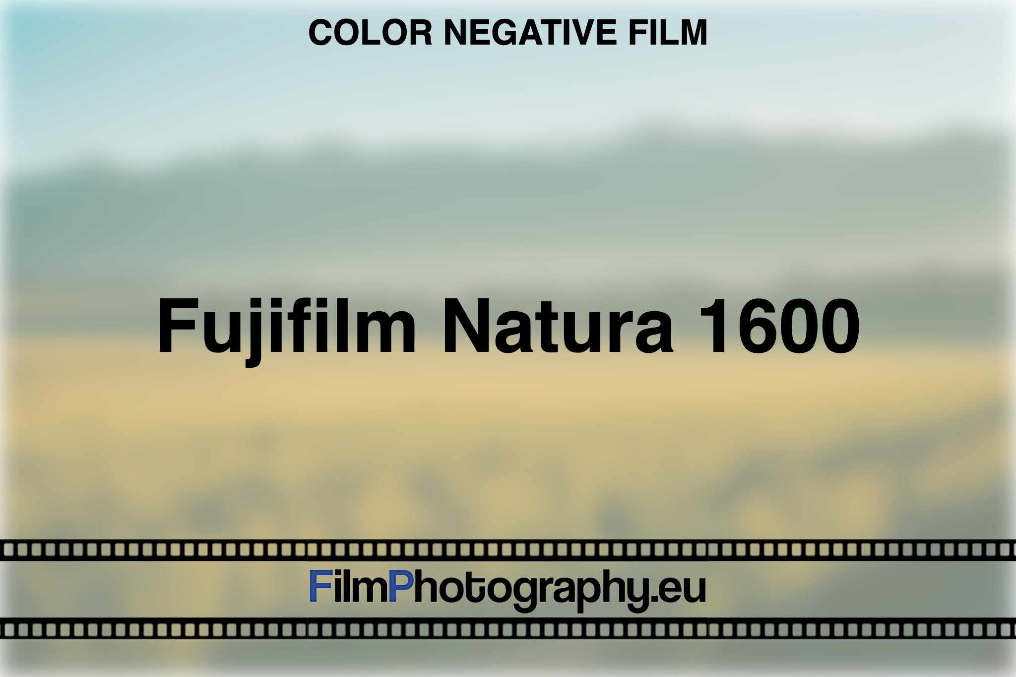fujifilm-natura-1600-color-negative-film-bnv