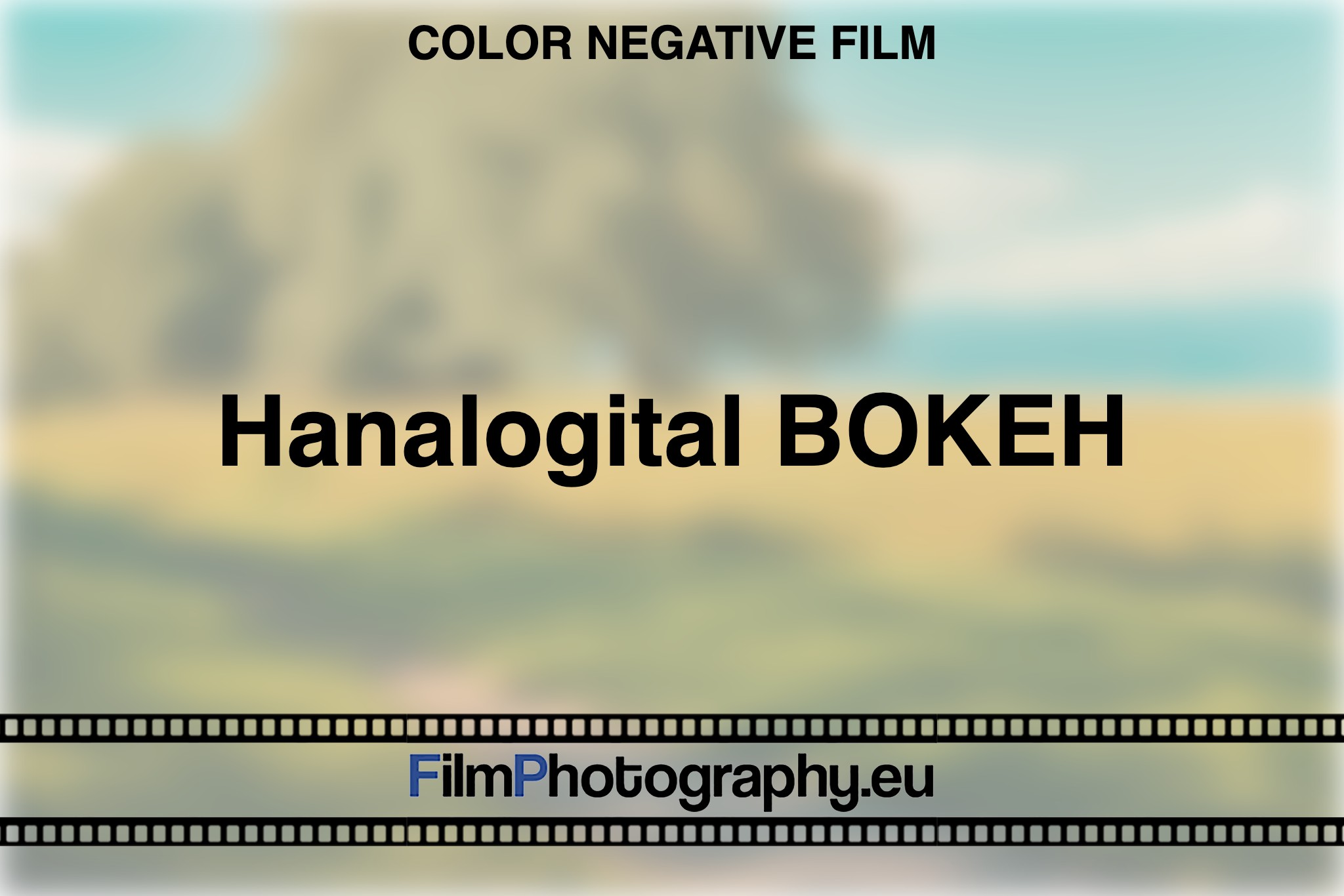 hanalogital-bokeh-color-negative-film-bnv