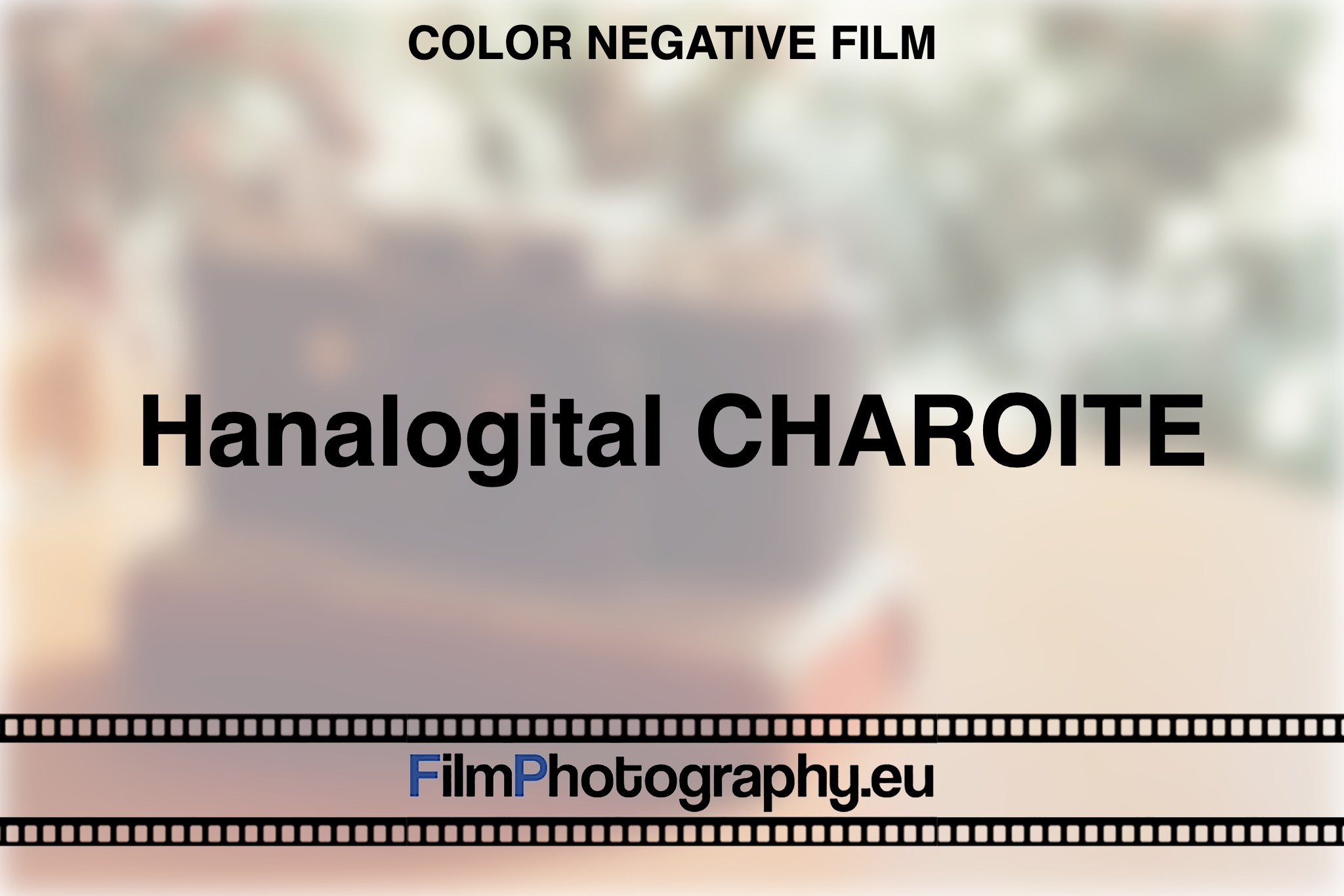 hanalogital-charoite-color-negative-film-bnv