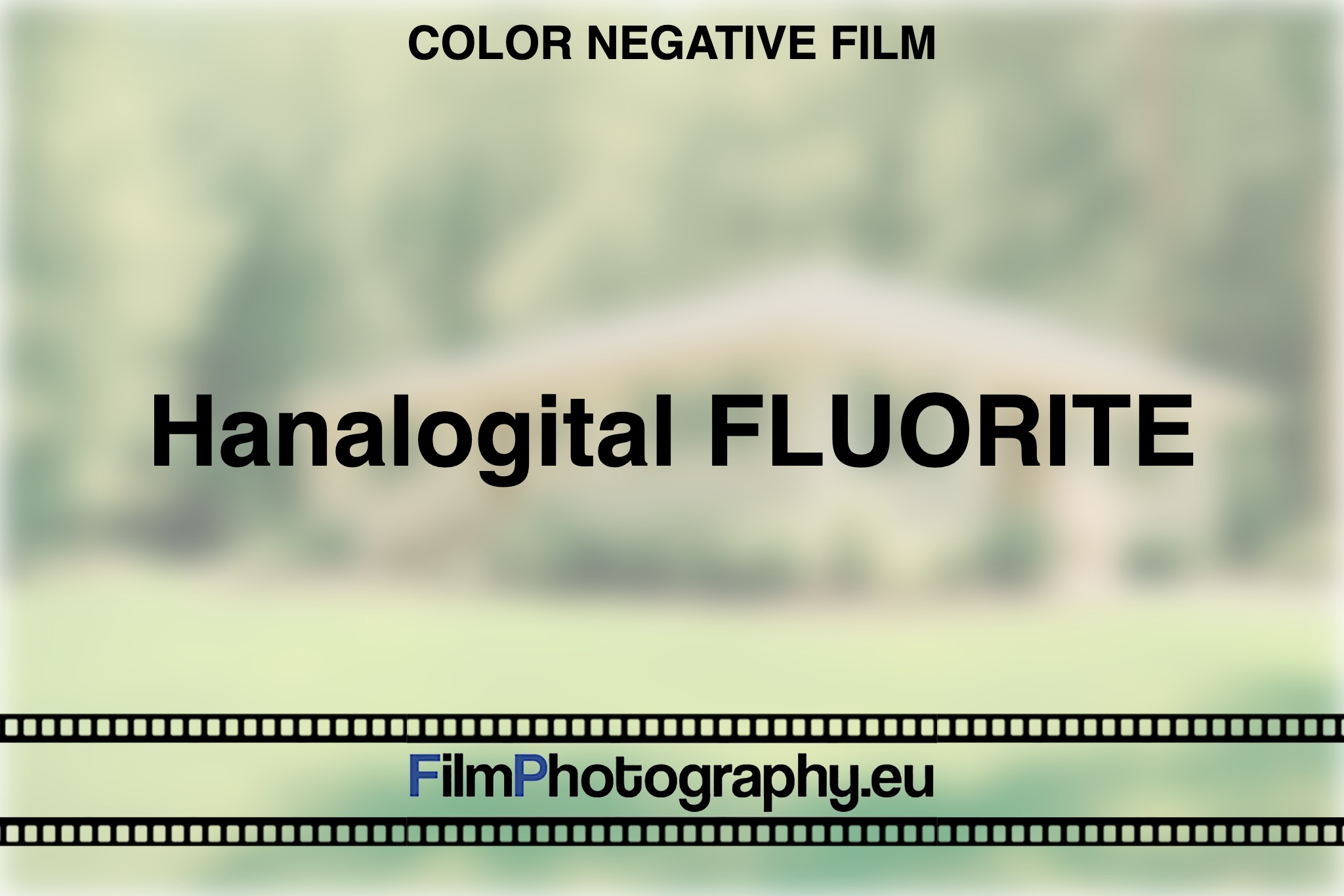 hanalogital-fluorite-color-negative-film-bnv