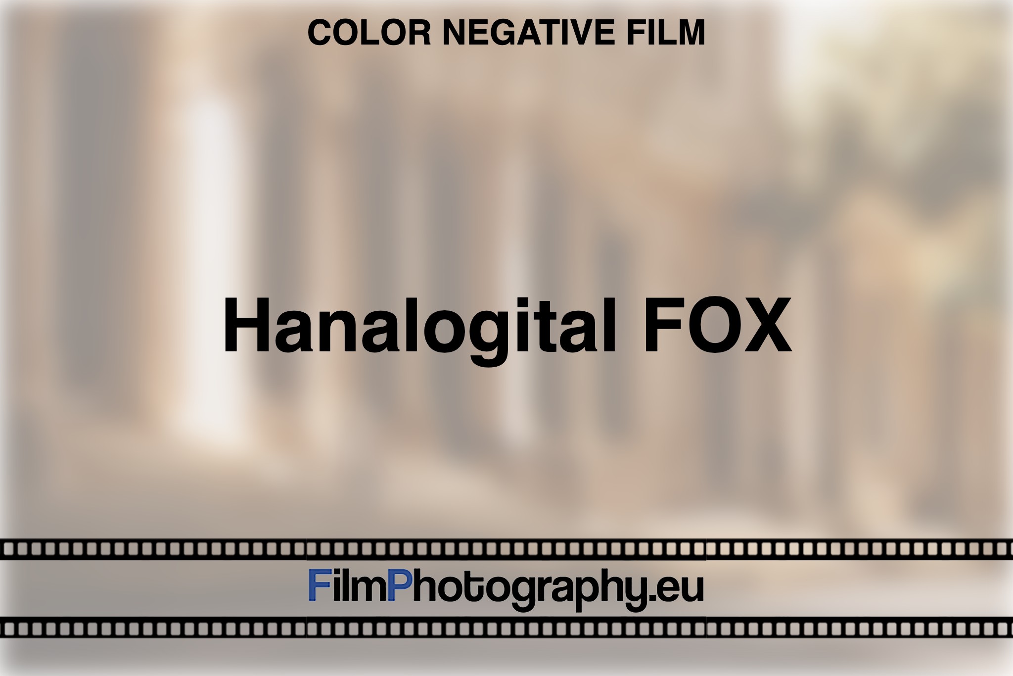 hanalogital-fox-color-negative-film-bnv
