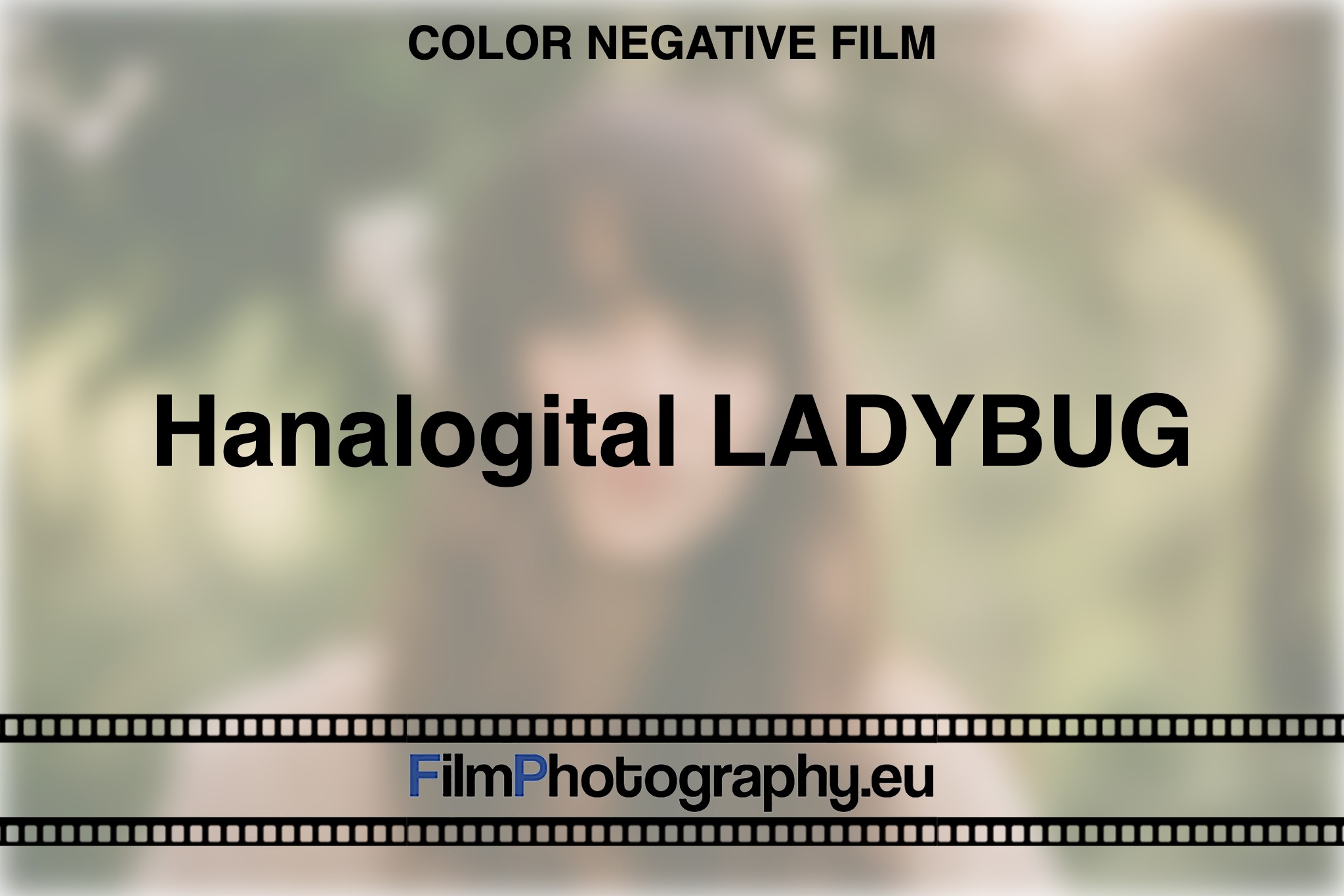 hanalogital-ladybug-color-negative-film-bnv