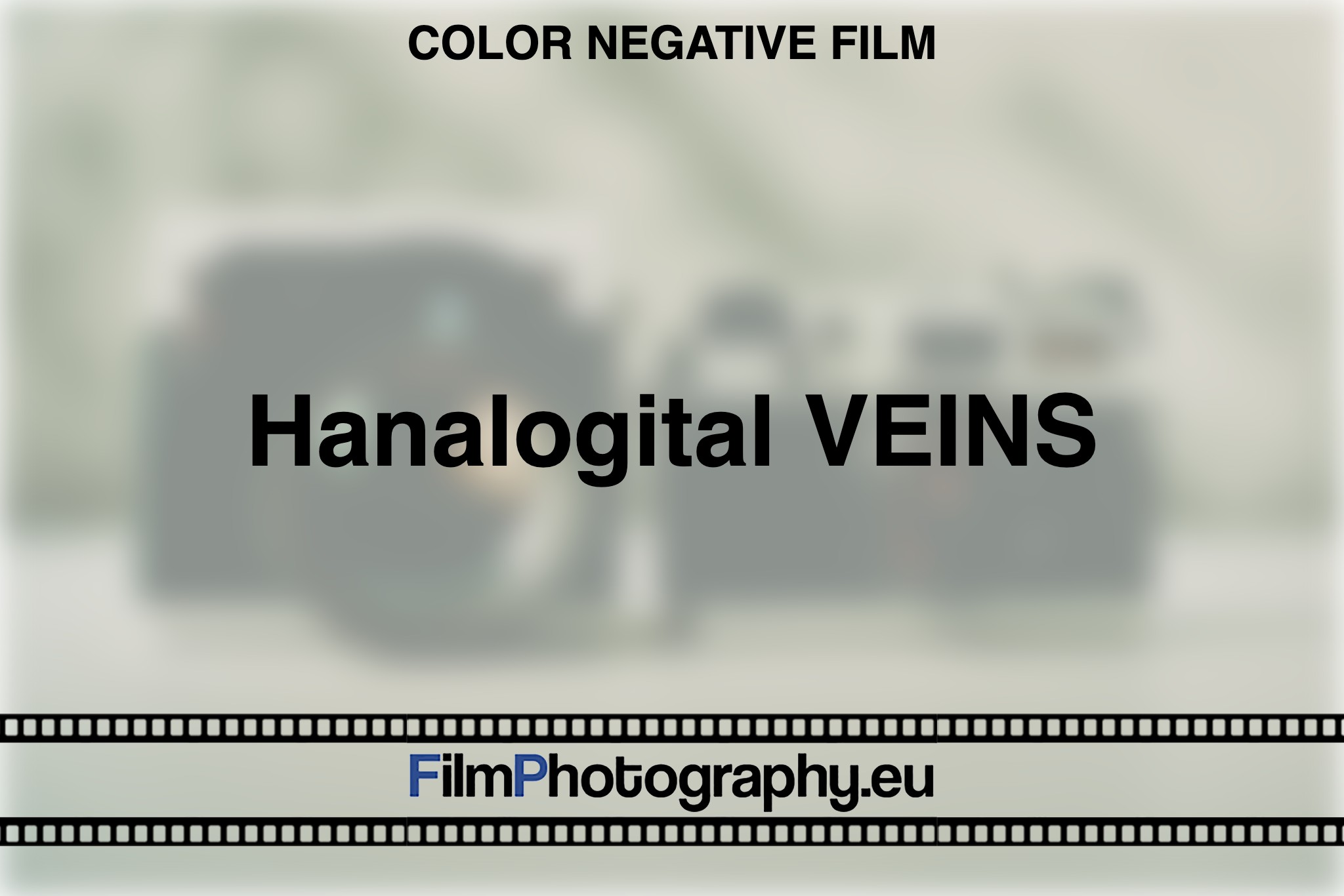 hanalogital-veins-color-negative-film-bnv