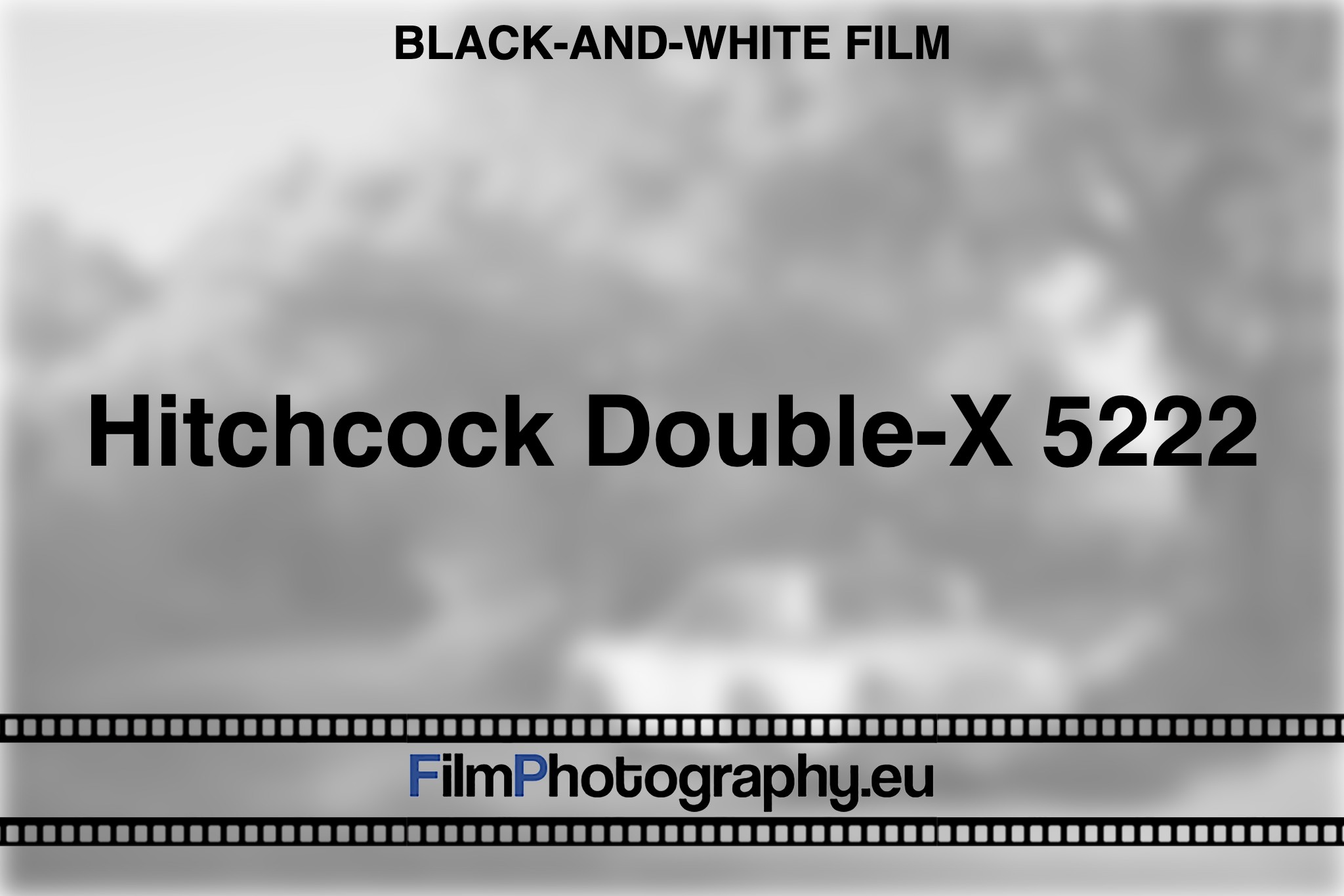 hitchcock-double-x-5222-black-and-white-film-bnv