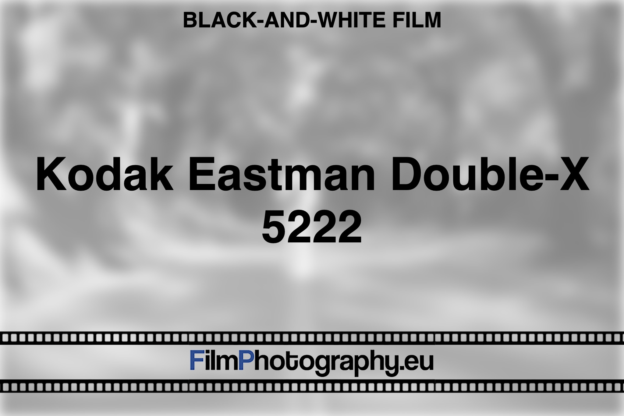 Eastman Kodak Double-X (5222) - a Cinematic Black and White Film