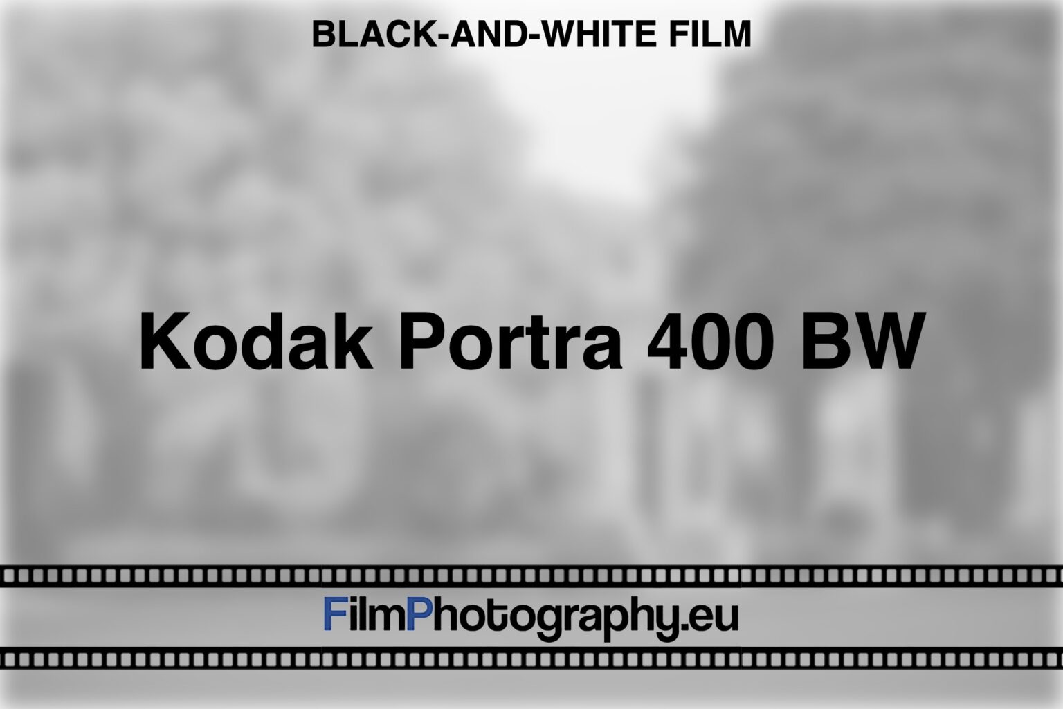 Kodak Portra 400 BW Guide for the blackandwhite film