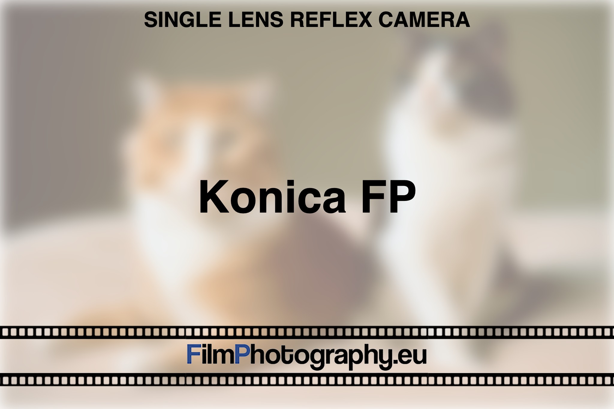 konica-fp-single-lens-reflex-camera-bnv