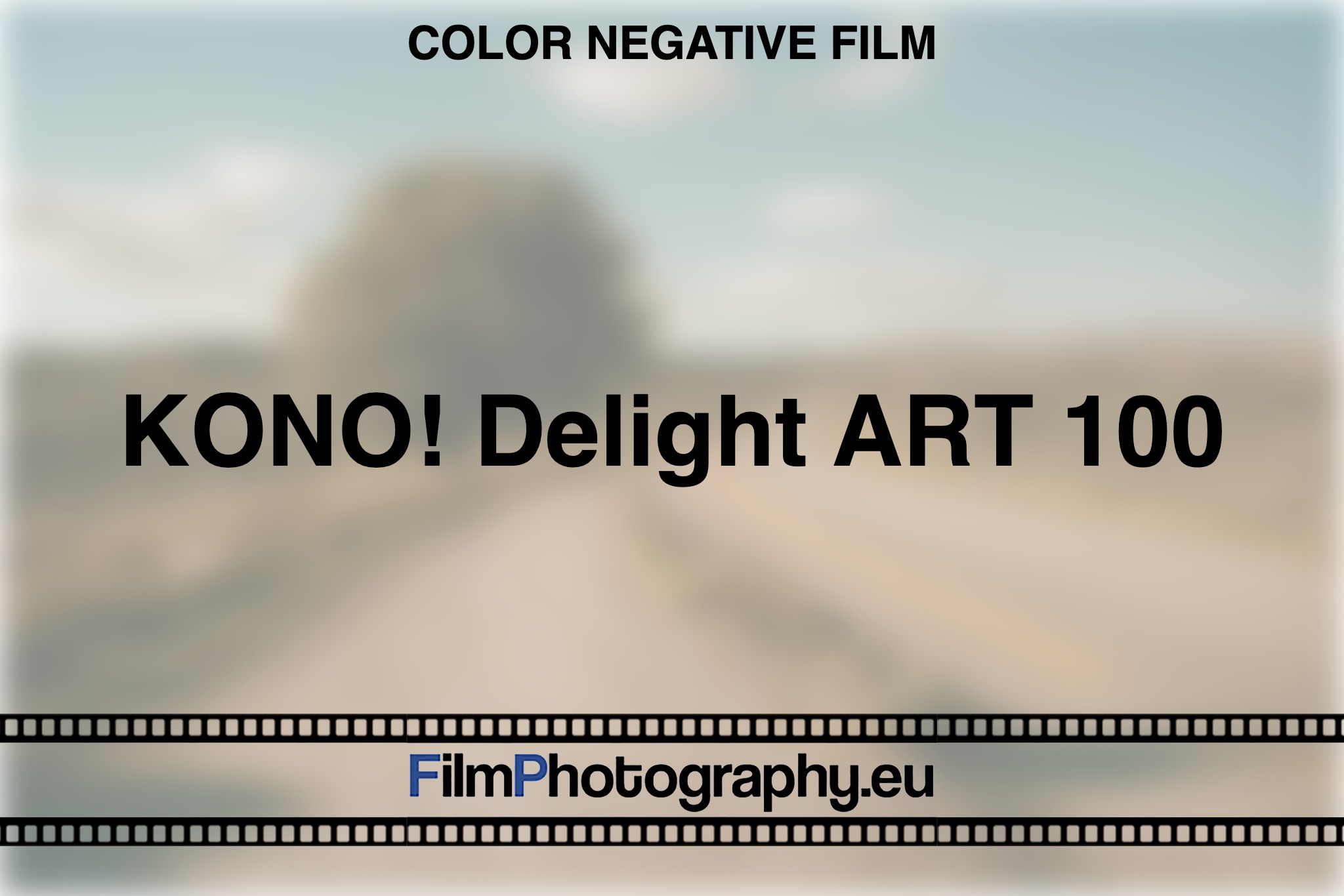 kono-delight-art-100-color-negative-film-bnv