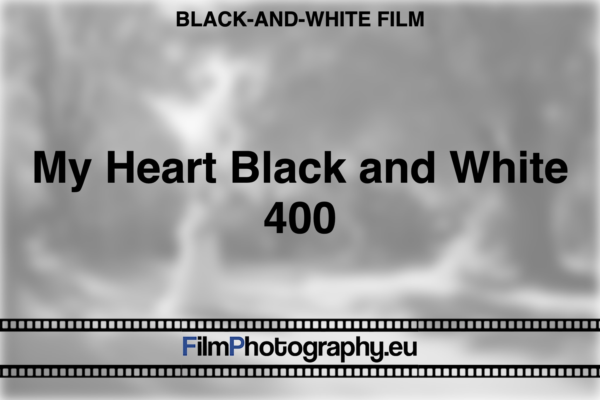 my-heart-black-and-white-400-black-and-white-film-bnv