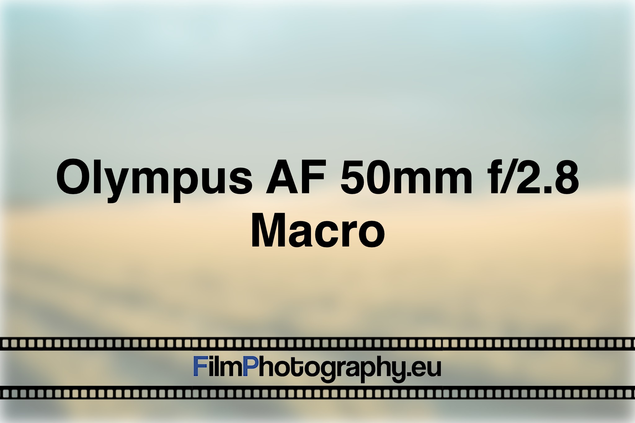 olympus-af-50mm-f-2-8-macro-photo-bnv
