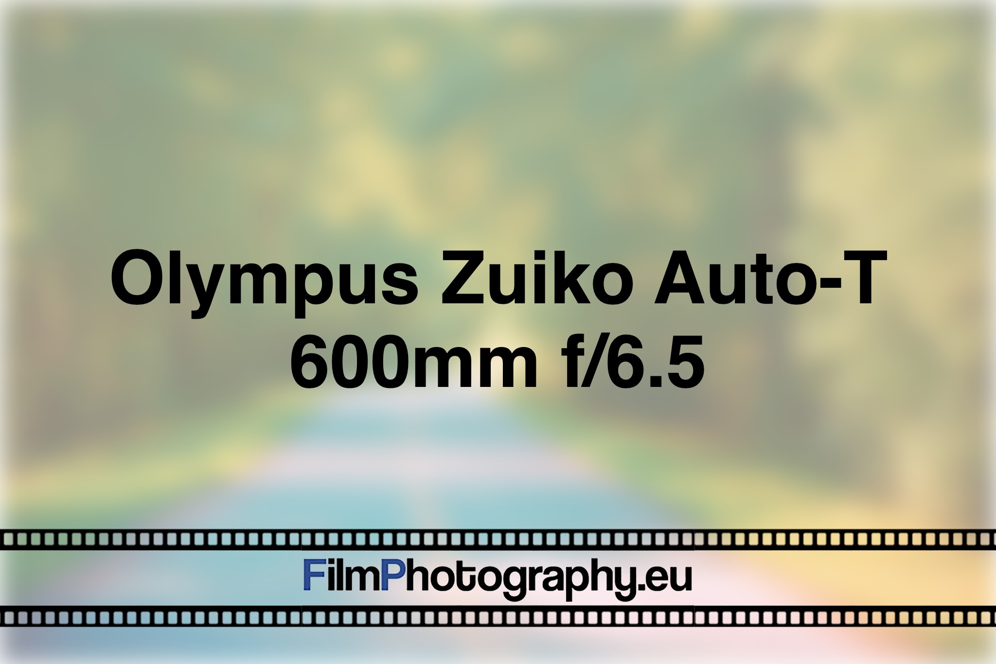 olympus-zuiko-auto-t-600mm-f-6-5-photo-bnv