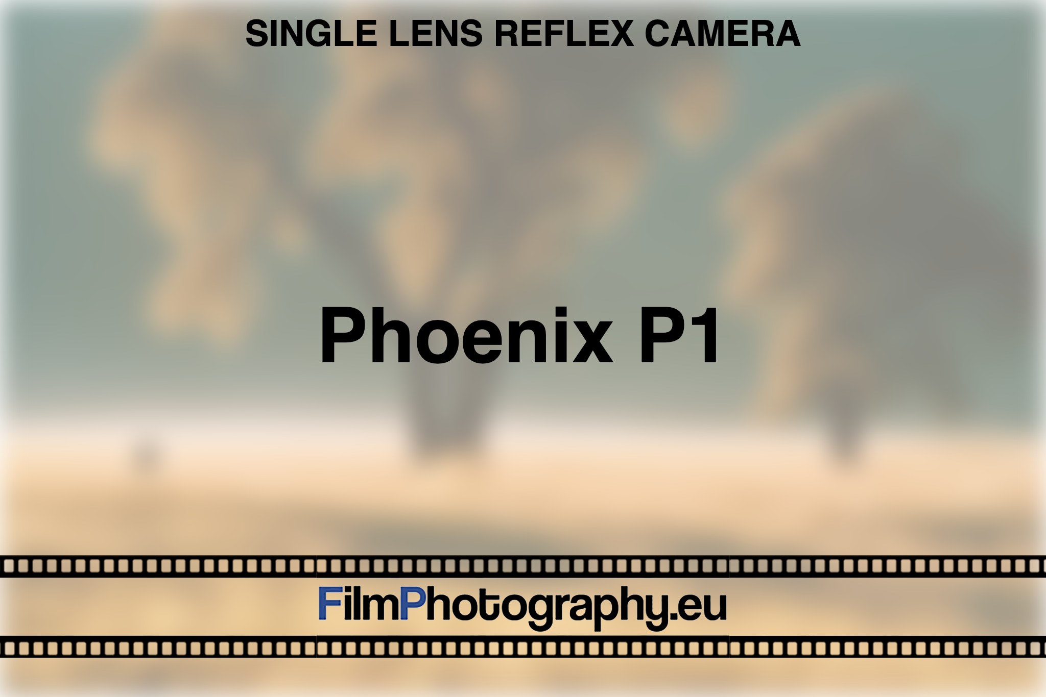 phoenix-p1-single-lens-reflex-camera-bnv