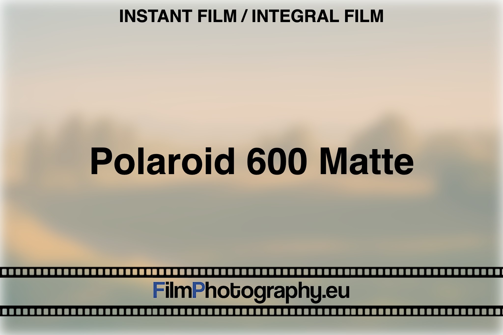 polaroid-600-matte-instant-film-integral-film-bnv