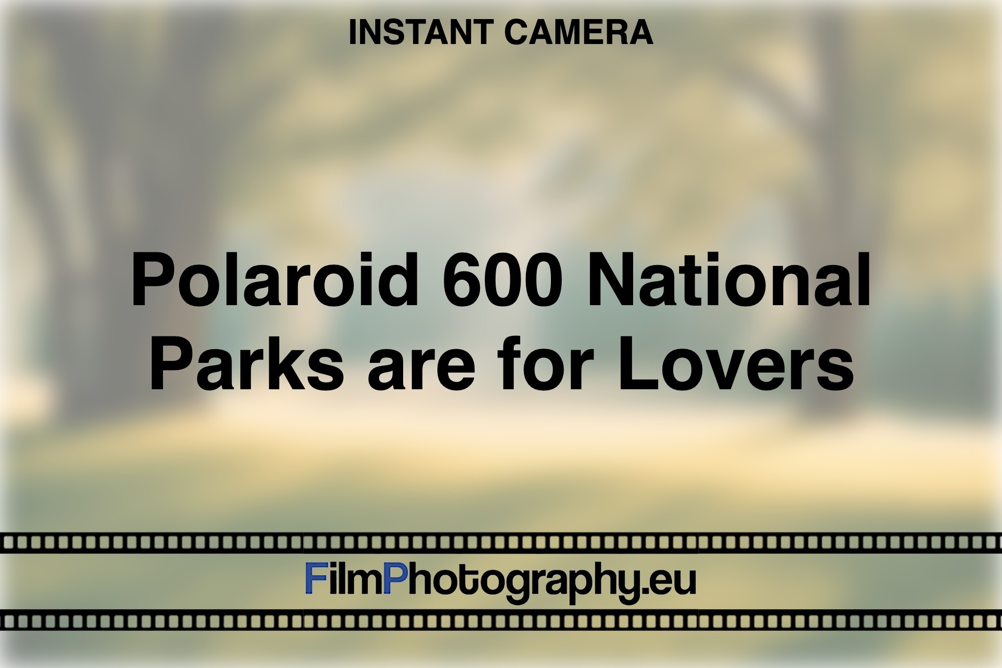 polaroid-600-national-parks-are-for-lovers-instant-camera-bnv
