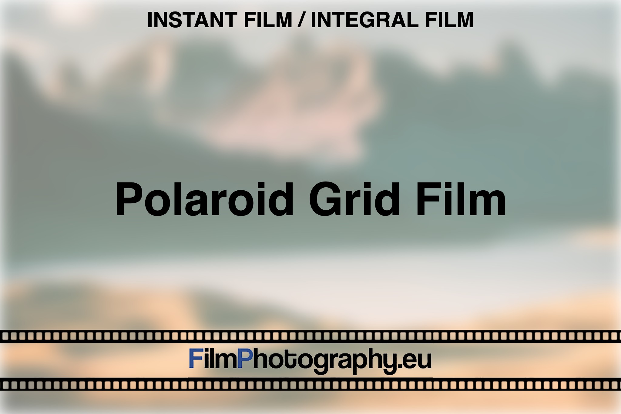 polaroid-grid-film-instant-film-integral-film-bnv