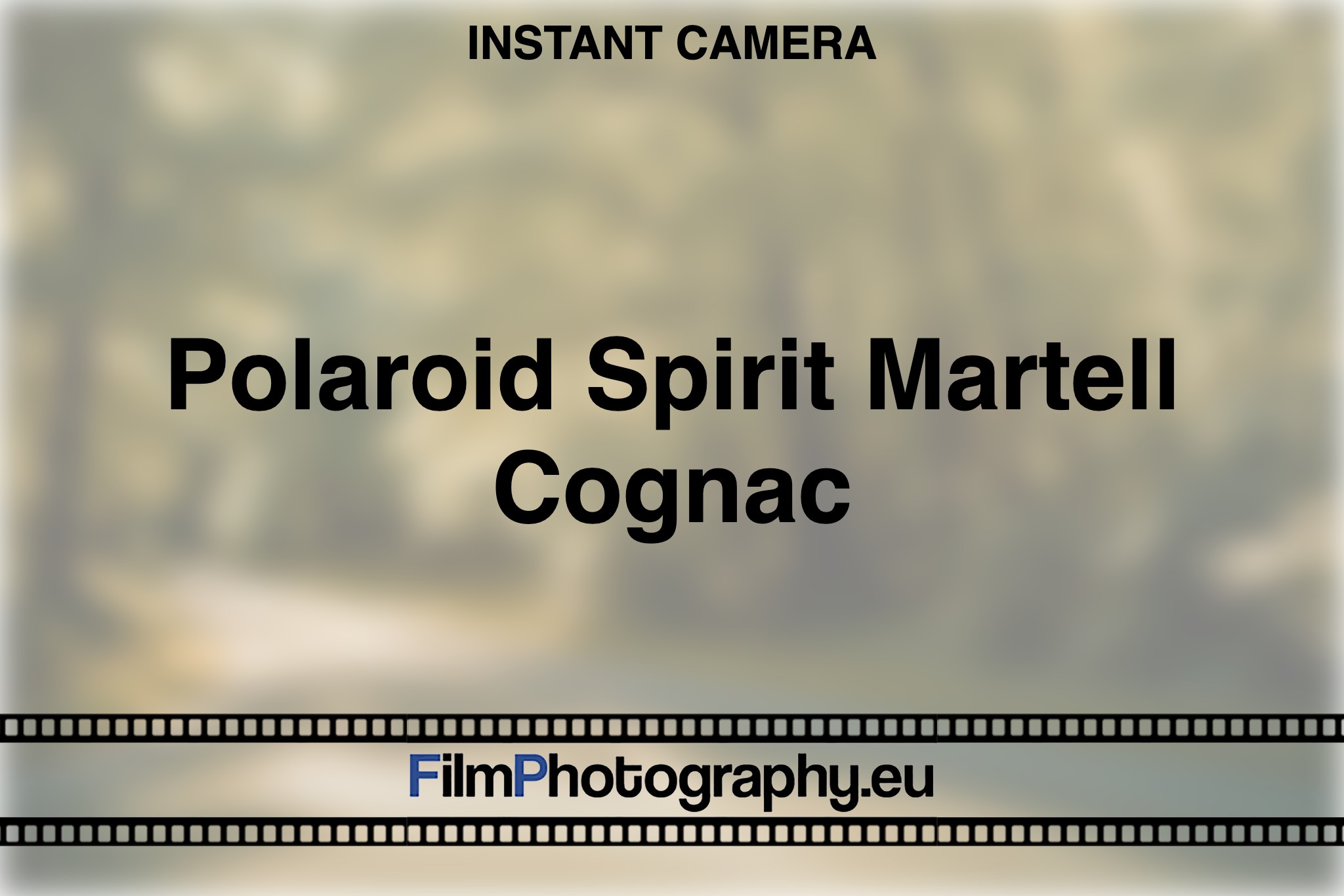 polaroid-spirit-martell-cognac-instant-camera-bnv
