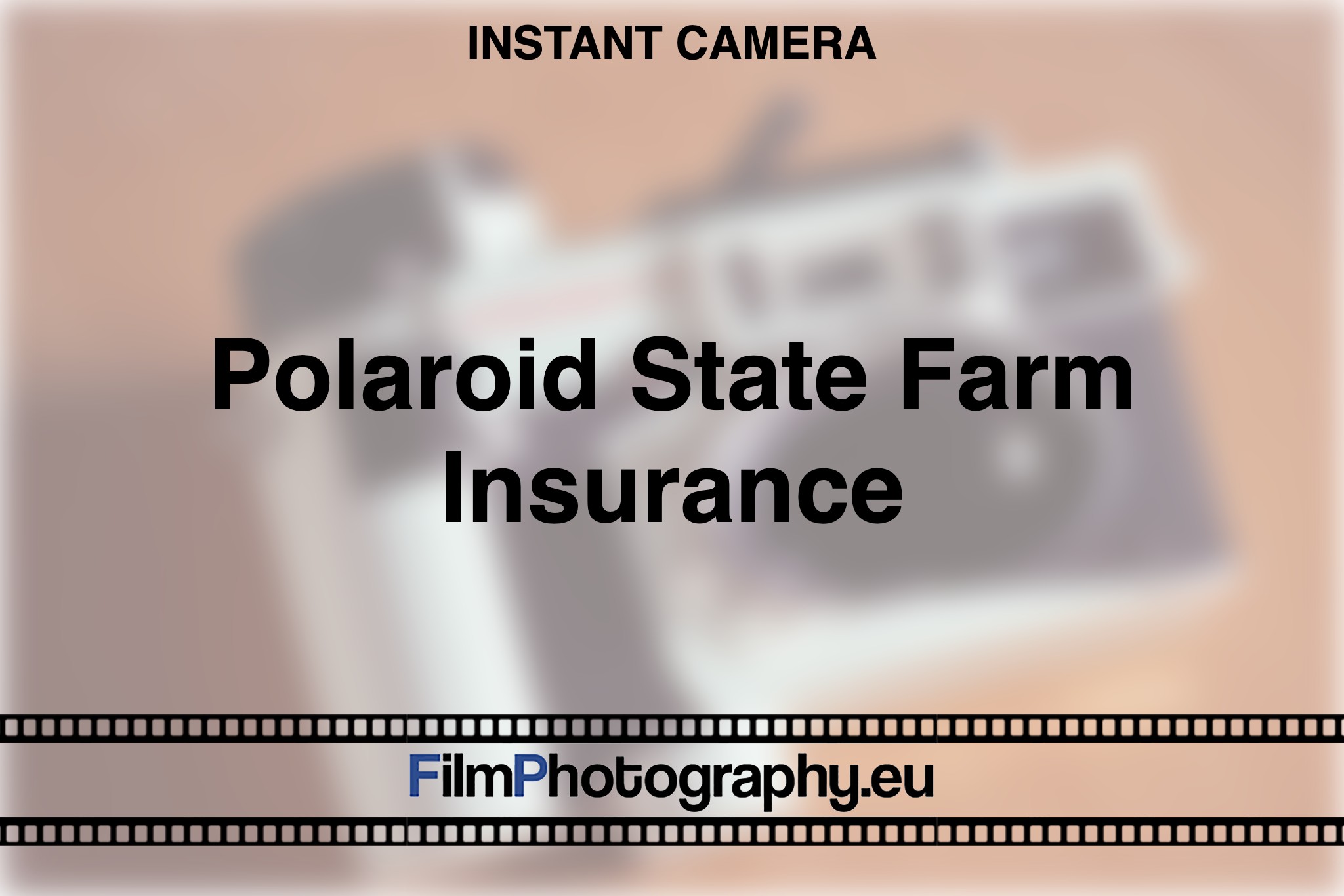 polaroid-state-farm-insurance-instant-camera-bnv