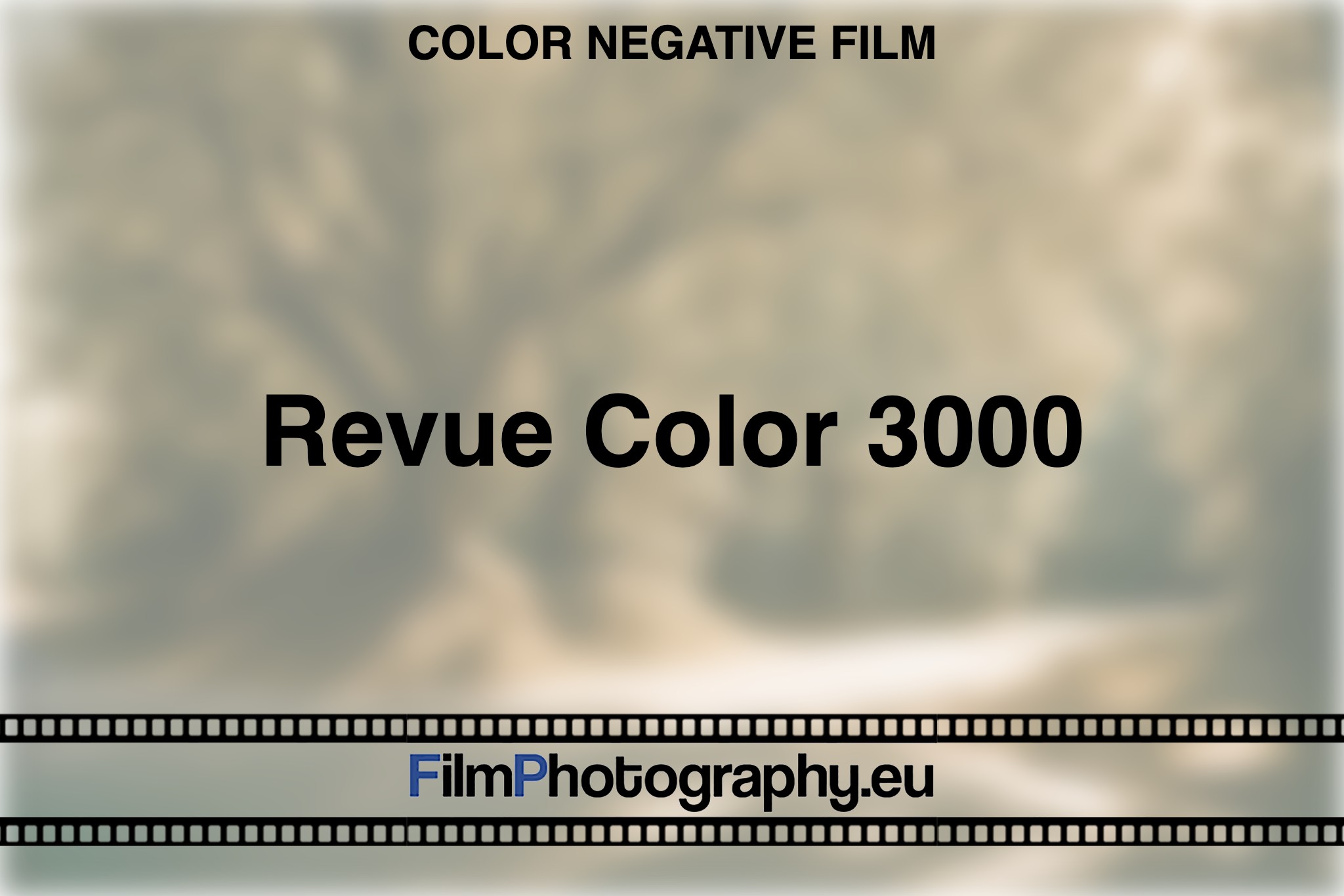 revue-color-3000-color-negative-film-bnv