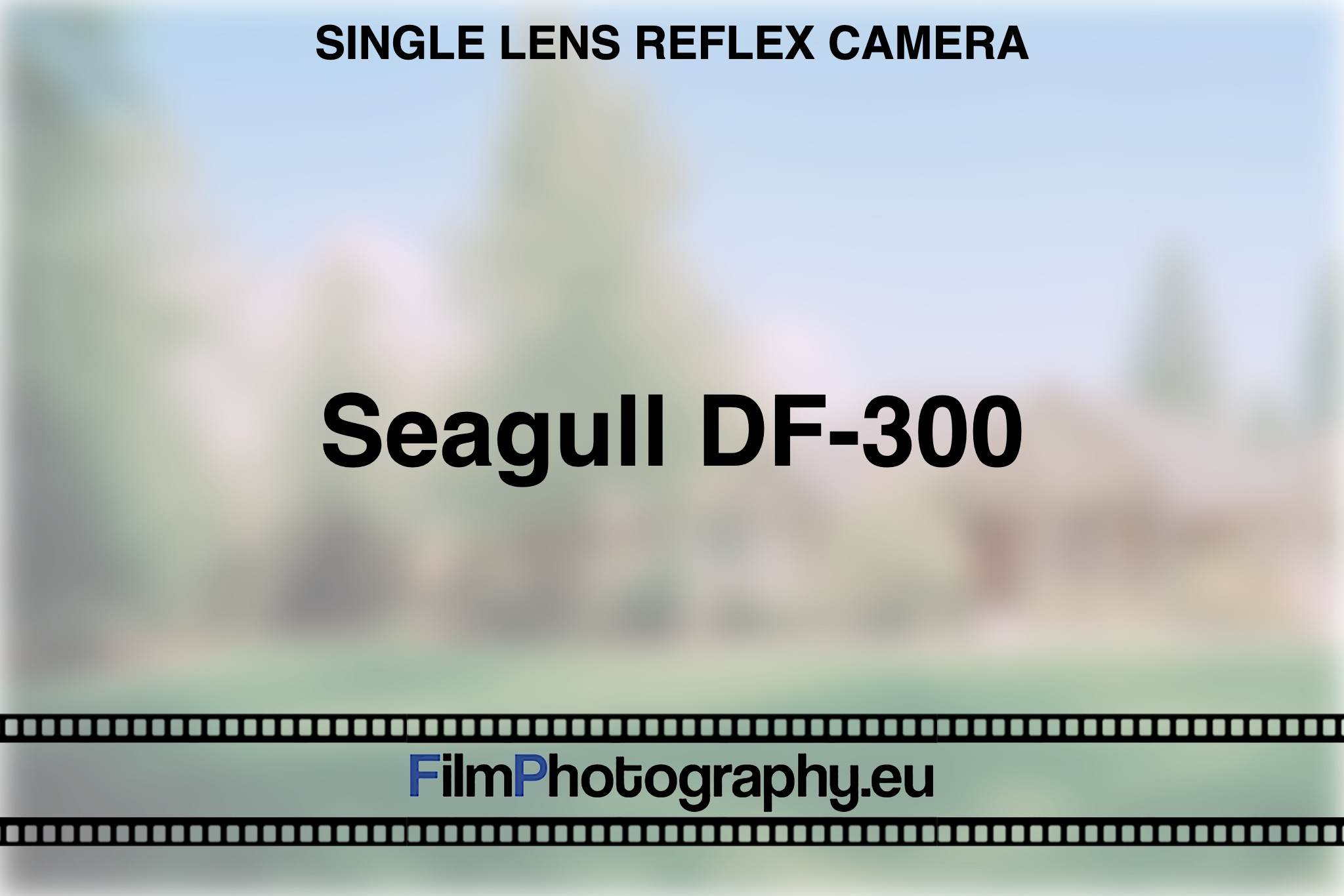 seagull-df-300-single-lens-reflex-camera-bnv