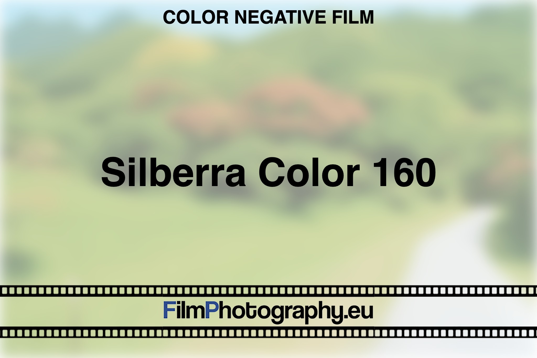 silberra-color-160-color-negative-film-bnv