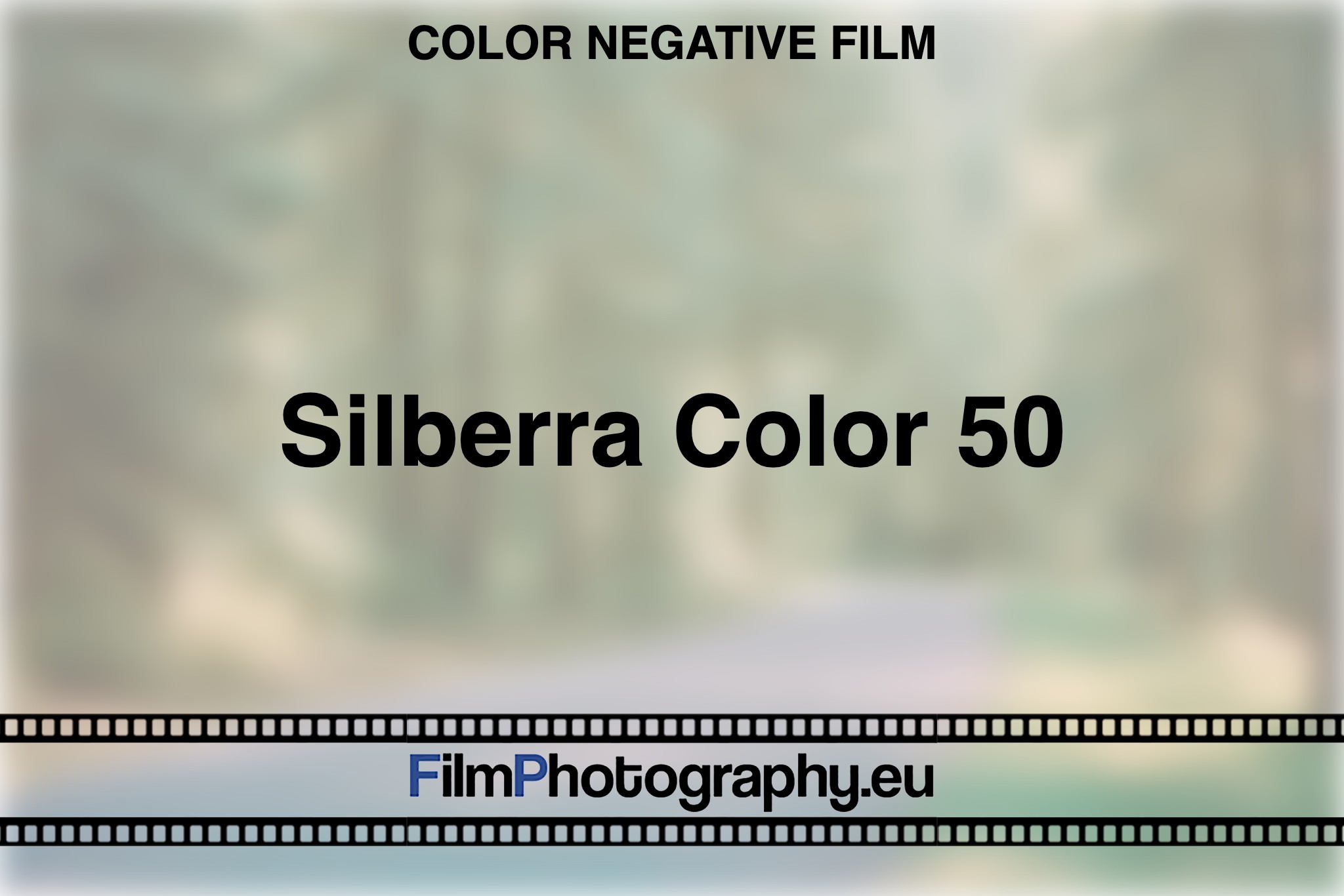 silberra-color-50-color-negative-film-bnv