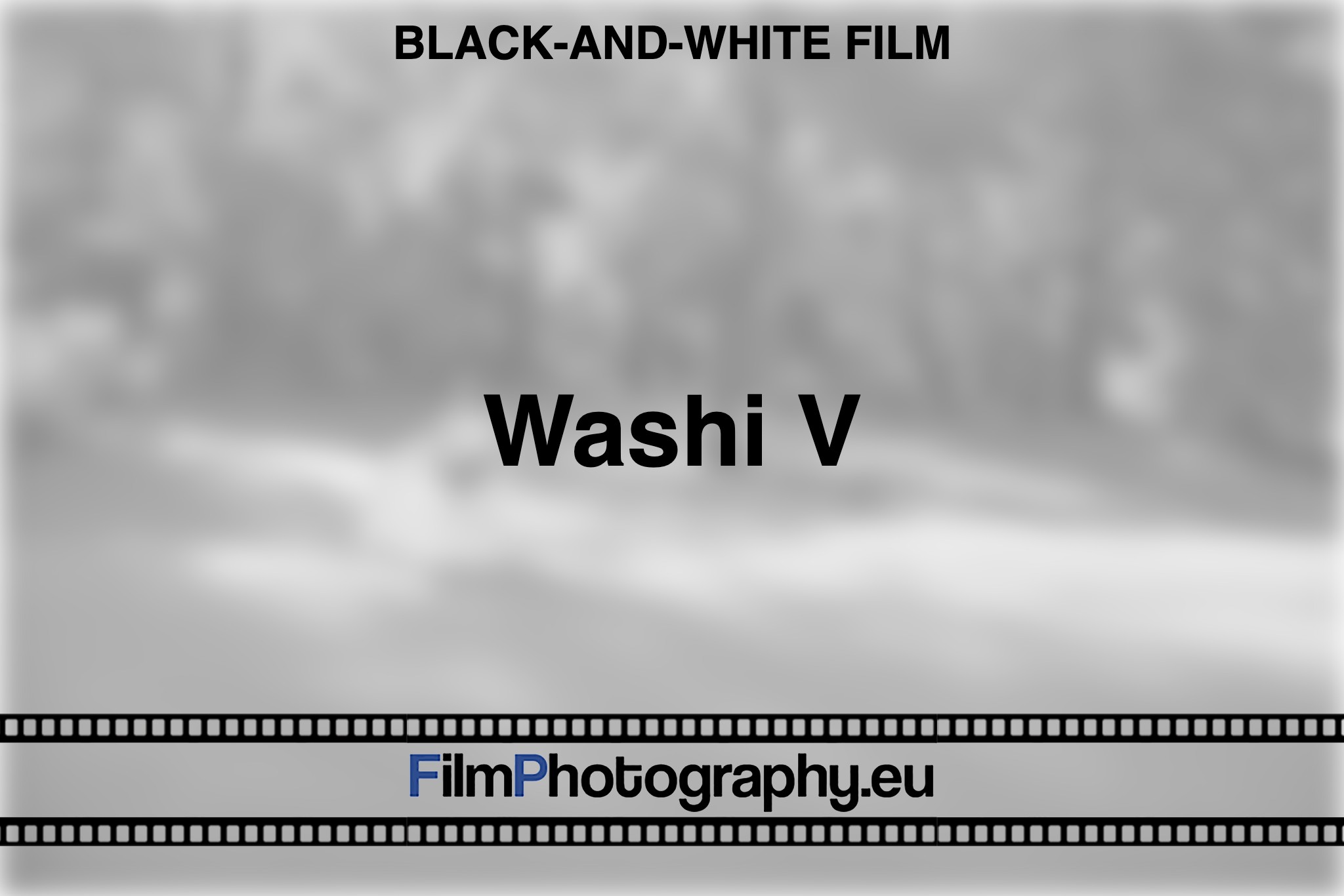 washi-v-black-and-white-film-bnv