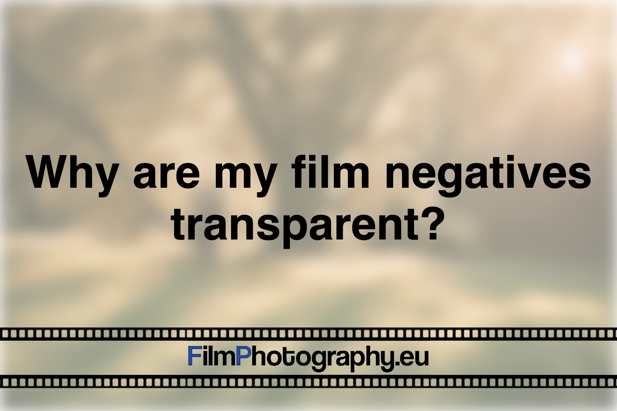 why-are-my-film-negatives-transparent-photo-bnv