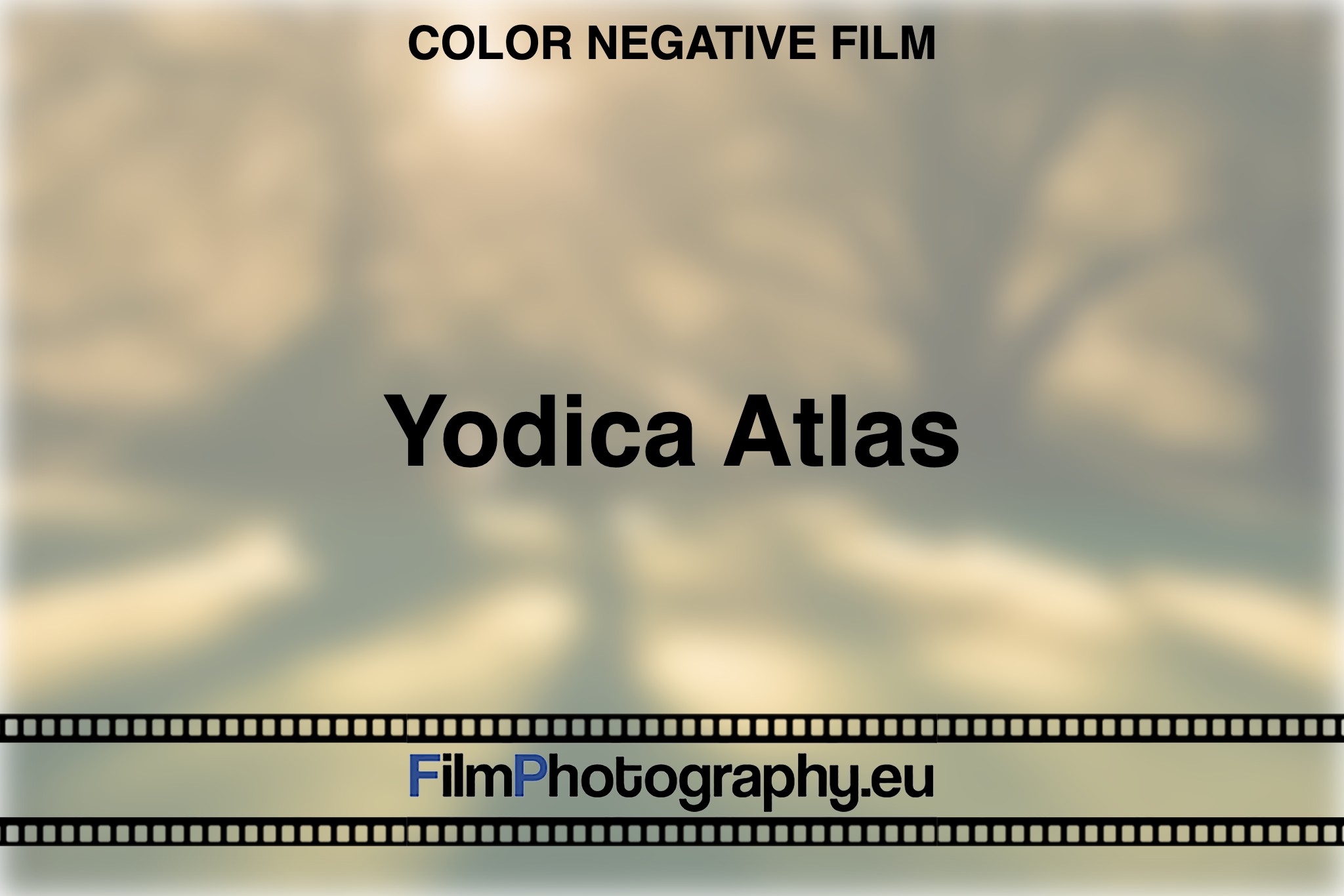 yodica-atlas-color-negative-film-bnv