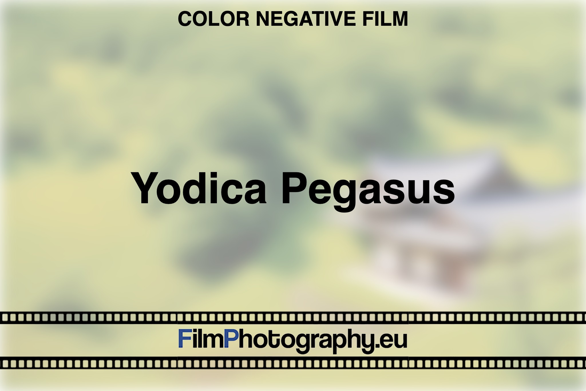 yodica-pegasus-color-negative-film-bnv