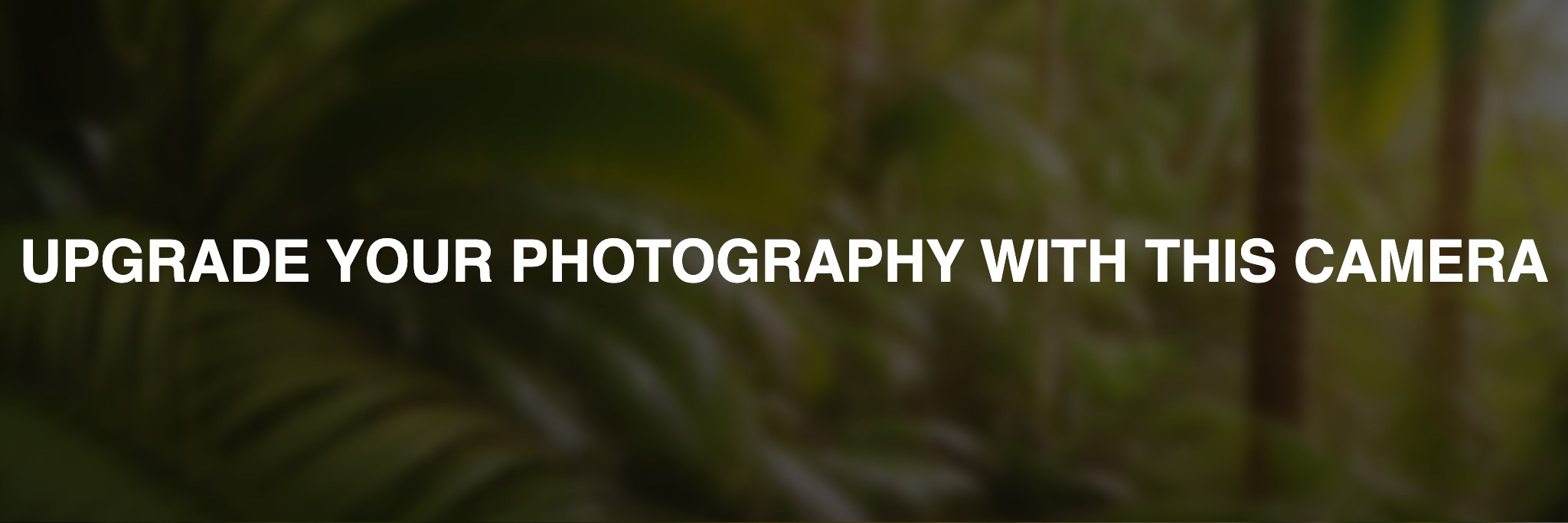 Kodak-Signet-30-online-shop-bnv
