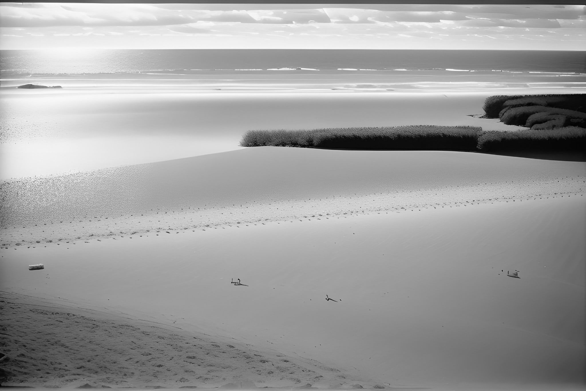 Minolta-Minoltina-s-black-white-photo-bnv