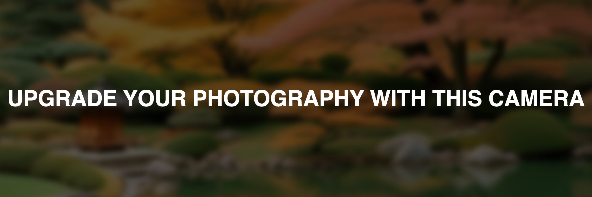 Minolta-SR-1s-online-shop-bnv