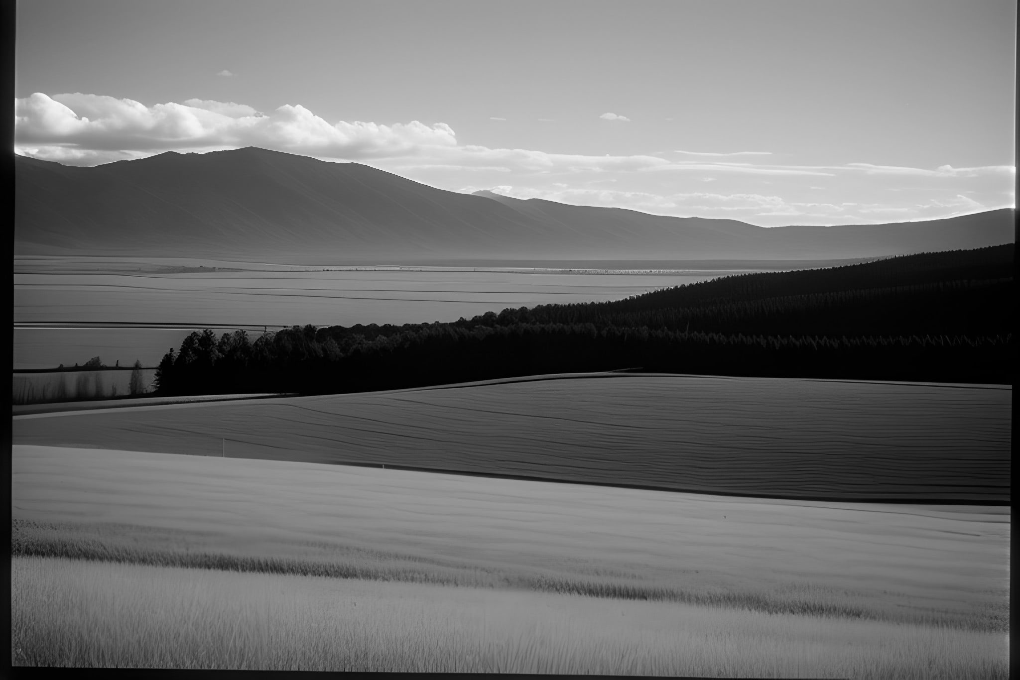 Minolta-XD-black-white-photo-bnv