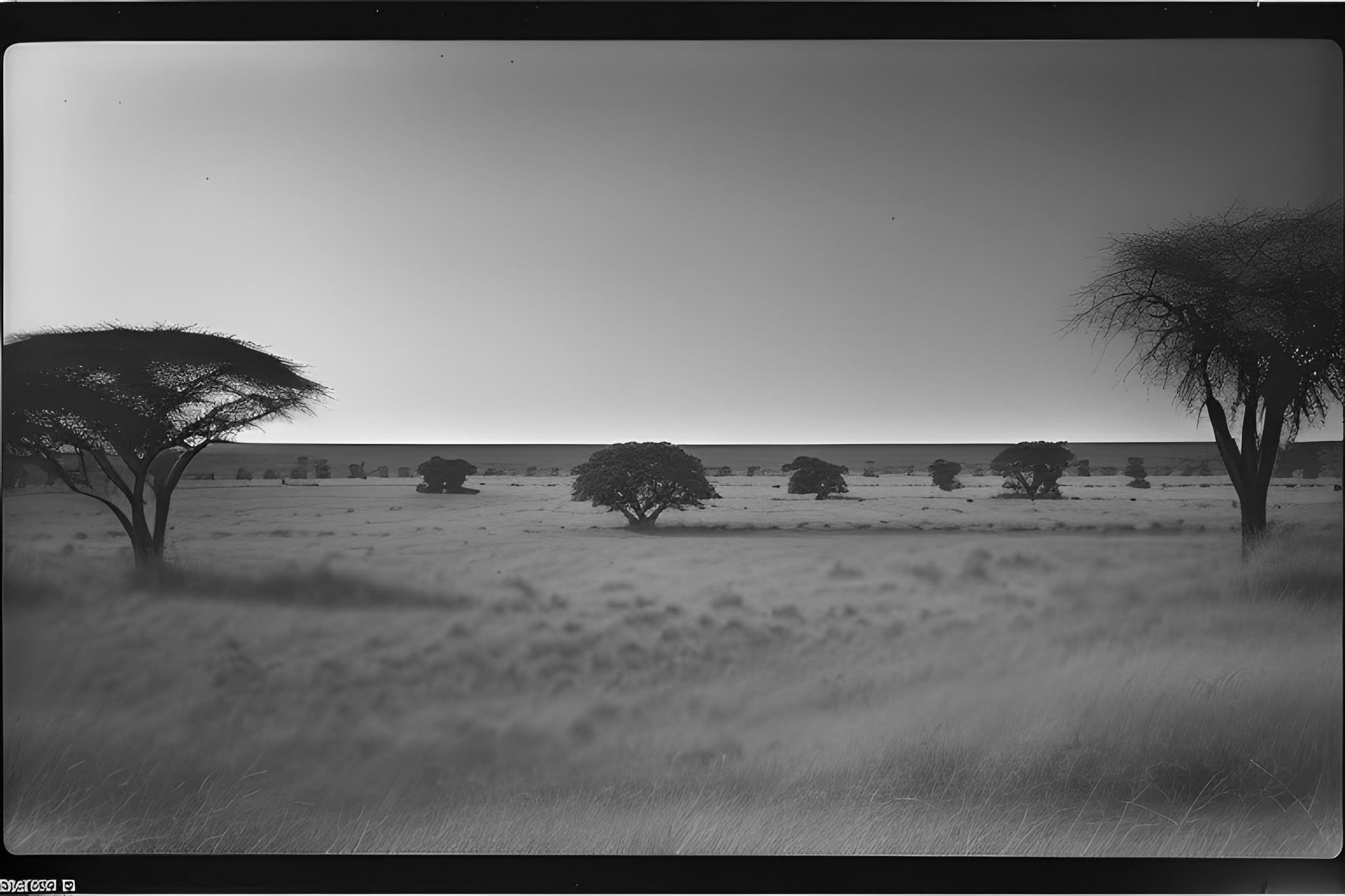 Nikon-AF230-black-white-photo-bnv